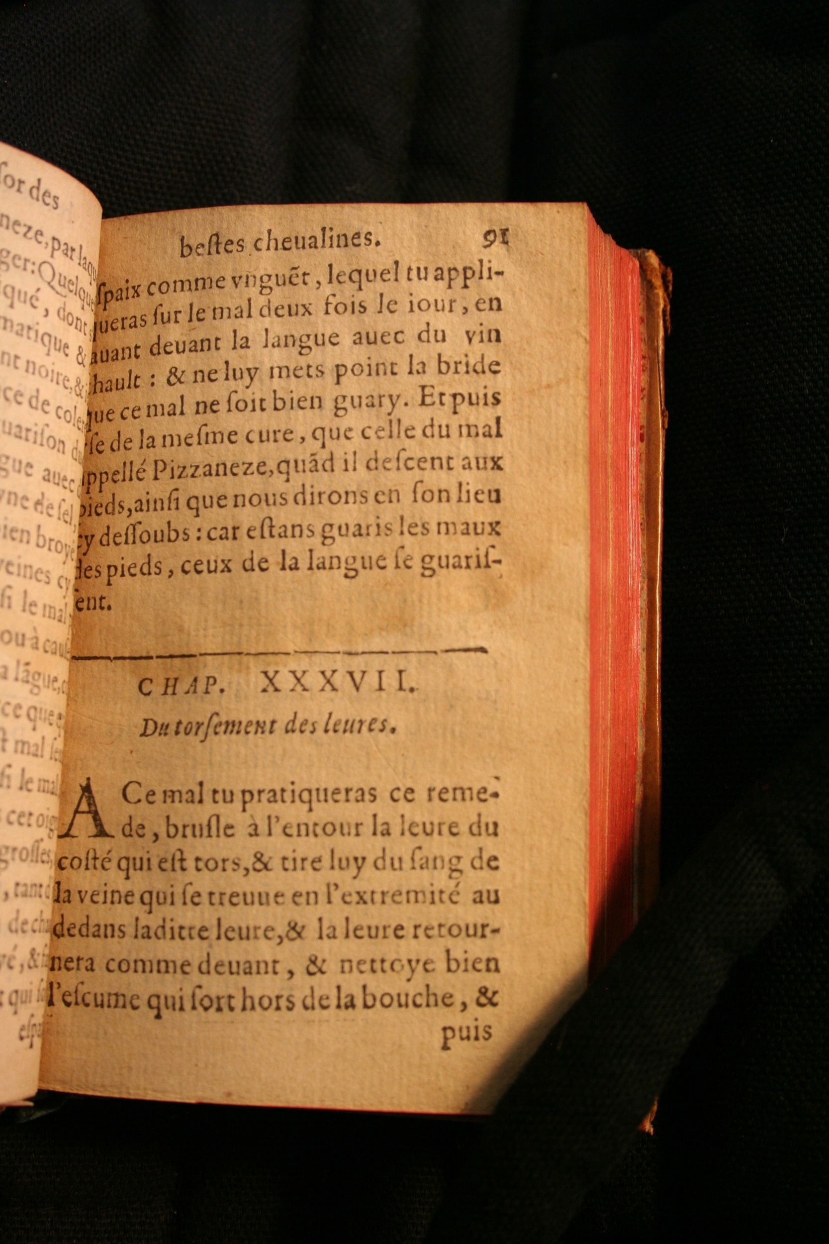 1591 - Pierre Chastaing et Benoît Rigaud - Trésor des bêtes chevalines - BM Bordeaux