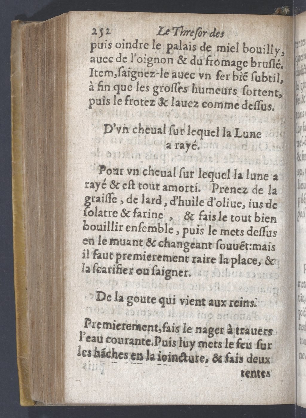 1619 - Pierre Rigaud - Trésor des bêtes chevalines - BnF