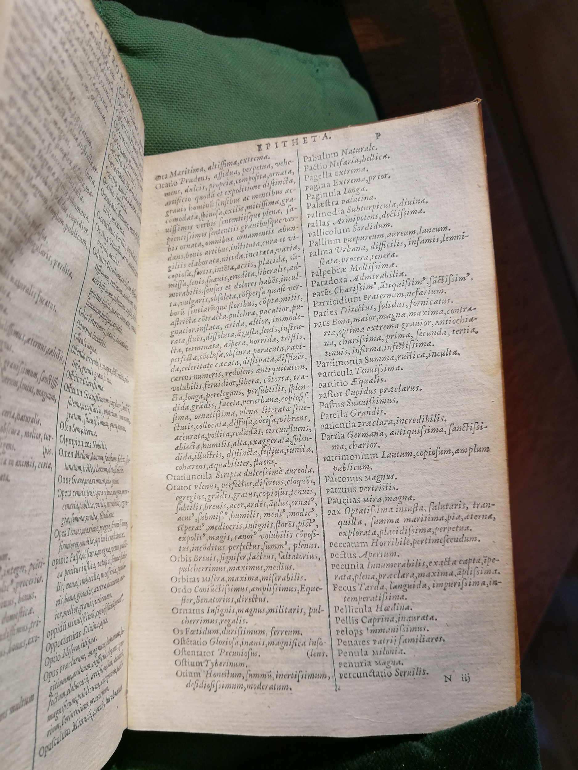 1597 - Martin le Mégissier - Trésor des mots et traits français - BnF