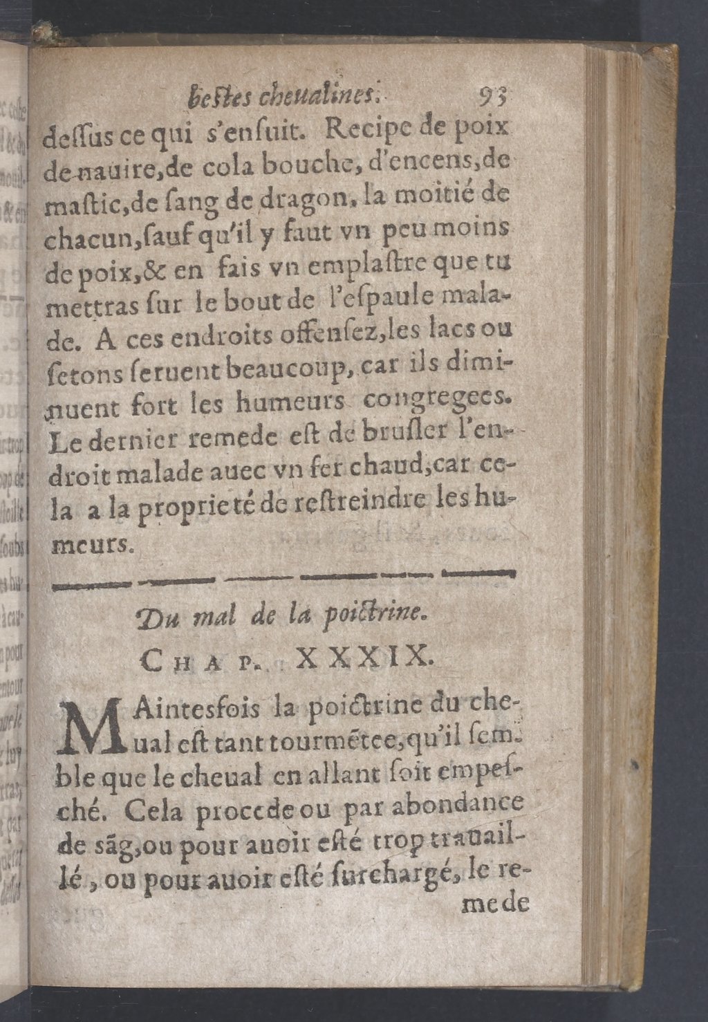 1619 - Pierre Rigaud - Trésor des bêtes chevalines - BnF