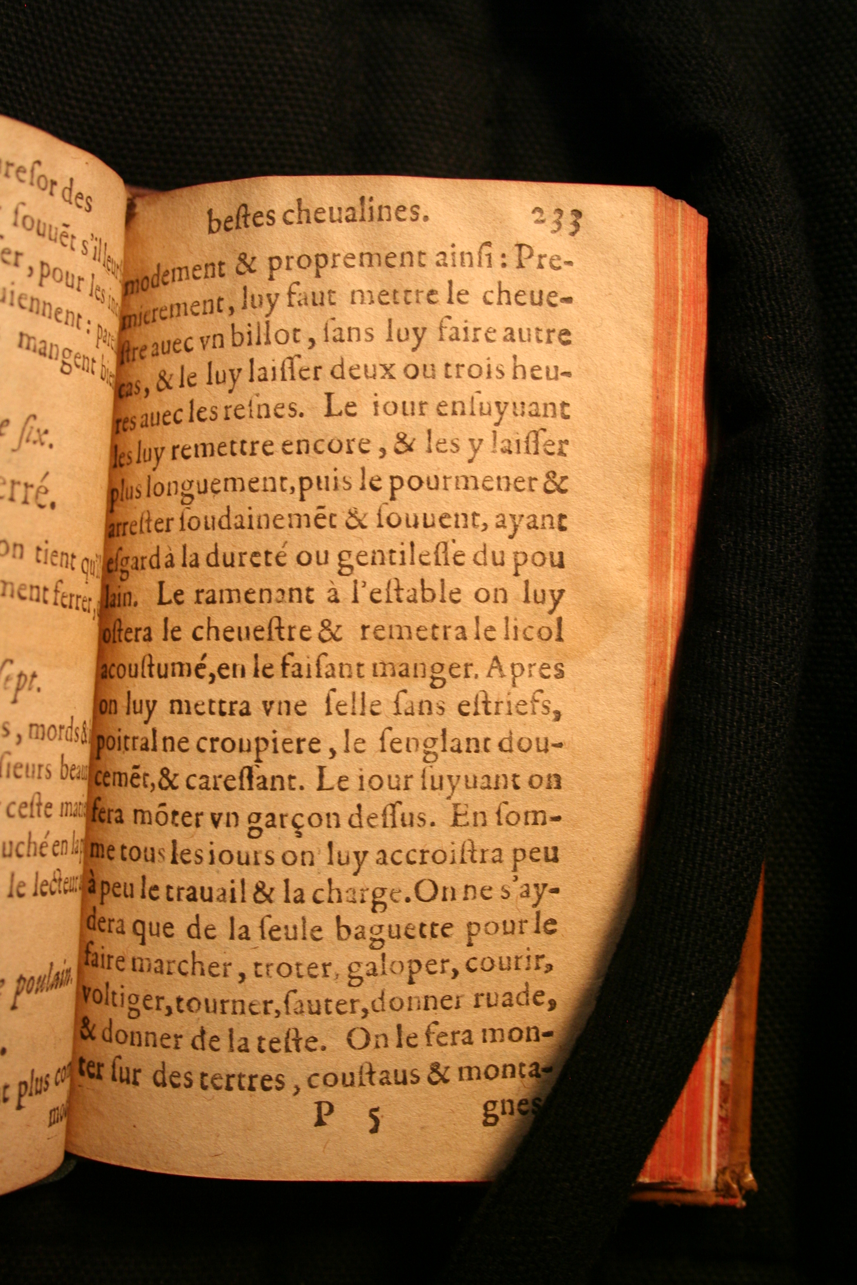 1591 - Pierre Chastaing et Benoît Rigaud - Trésor des bêtes chevalines - BM Bordeaux