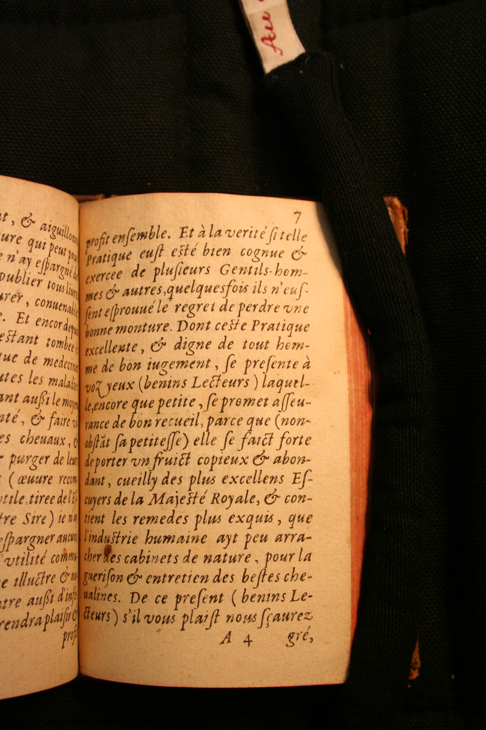 1591 - Pierre Chastaing et Benoît Rigaud - Trésor des bêtes chevalines - BM Bordeaux