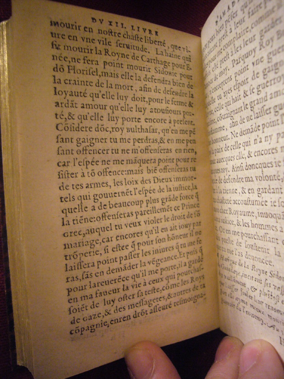 1564 - Vincent Norment et Jeanne Bruneau - Trésor des Amadis - BnF