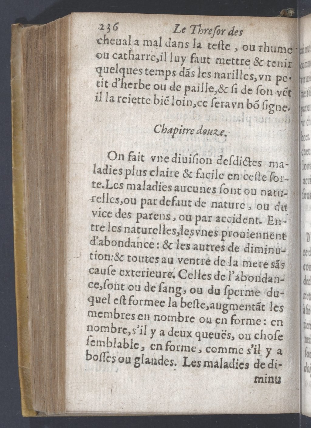 1619 - Pierre Rigaud - Trésor des bêtes chevalines - BnF 1619 - Pierre Rigaud - Trésor des bêtes chevalines - BnF