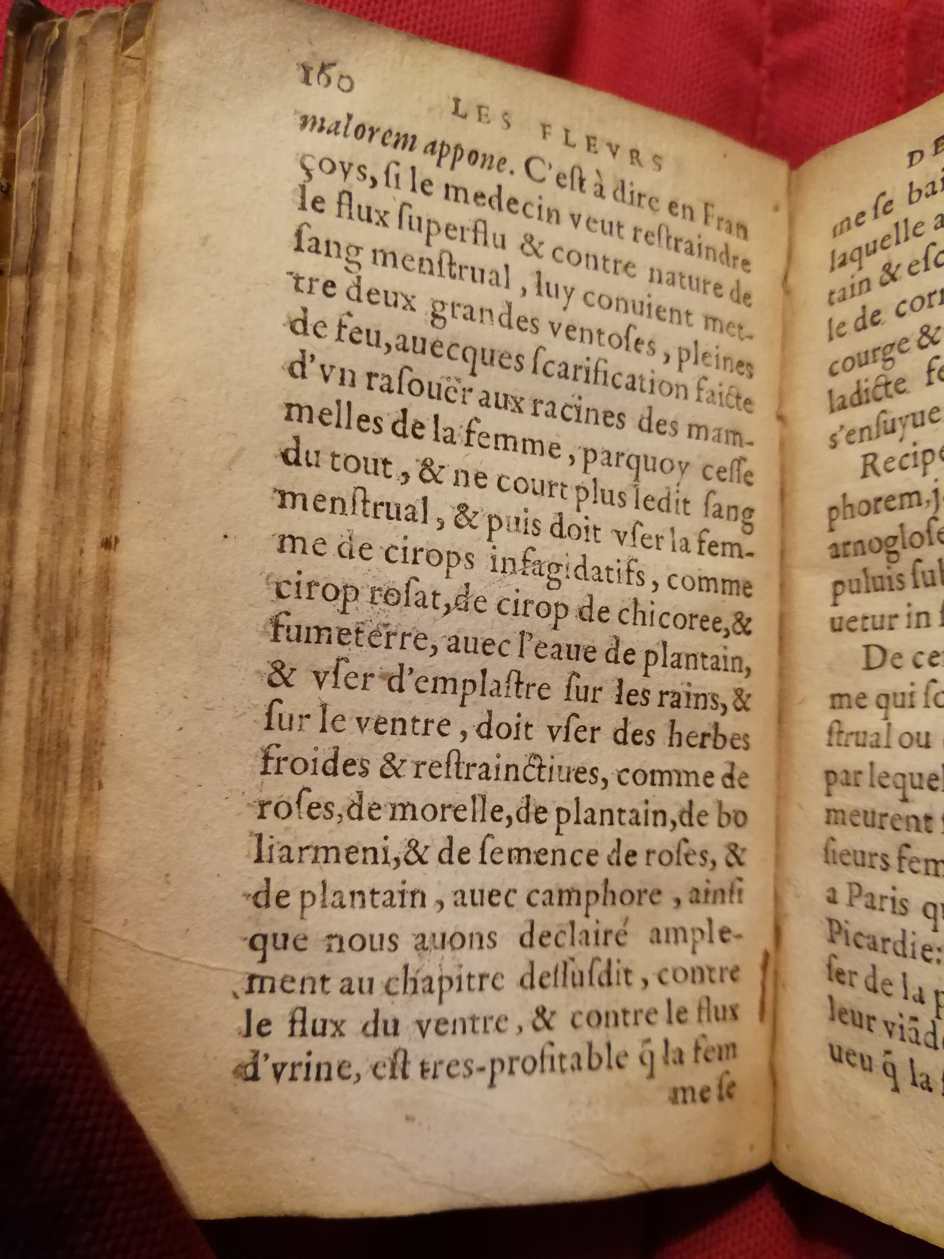 1586 - Benoît Rigaud - Trésor des fleurs et secrets de médecine - Sainte-Geneviève