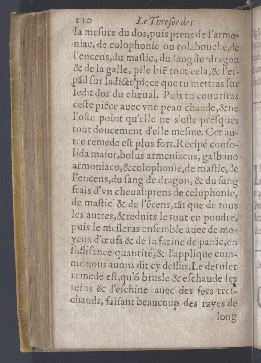 1619 - Pierre Rigaud - Trésor des bêtes chevalines - BnF