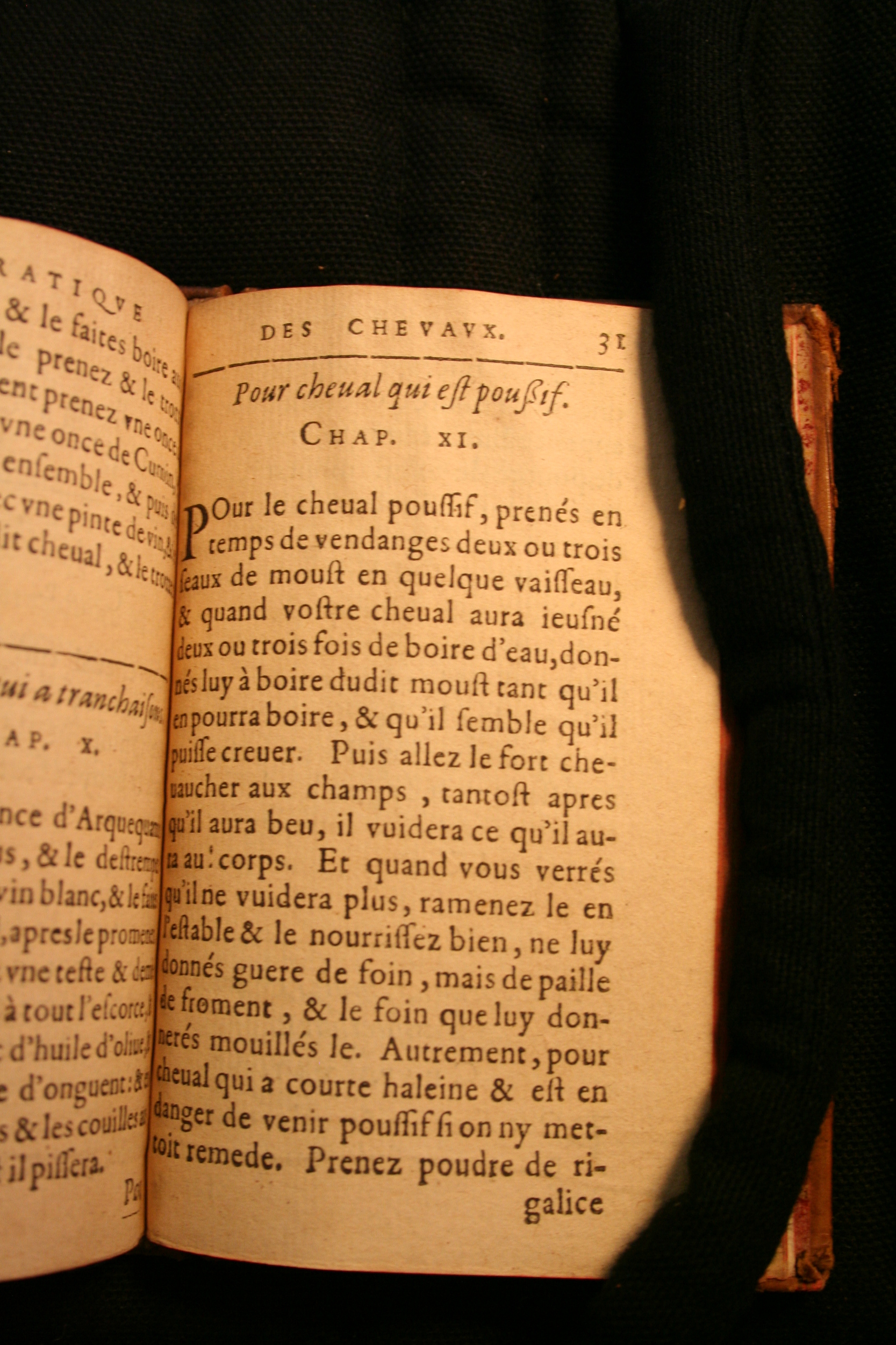 1591 - Pierre Chastaing et Benoît Rigaud - Trésor des bêtes chevalines - BM Bordeaux