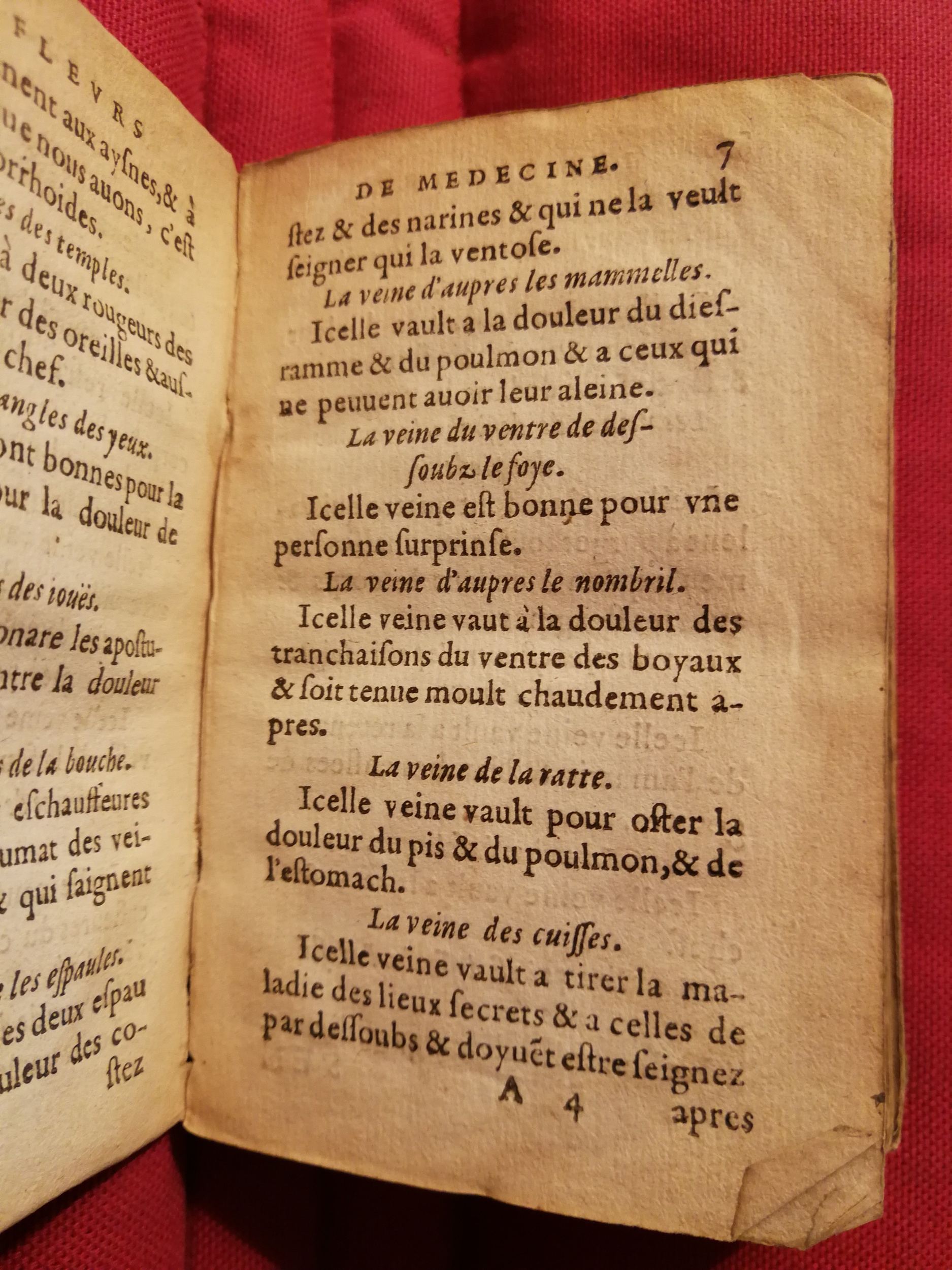 1586 - Benoît Rigaud - Trésor des fleurs et secrets de médecine - Sainte-Geneviève
