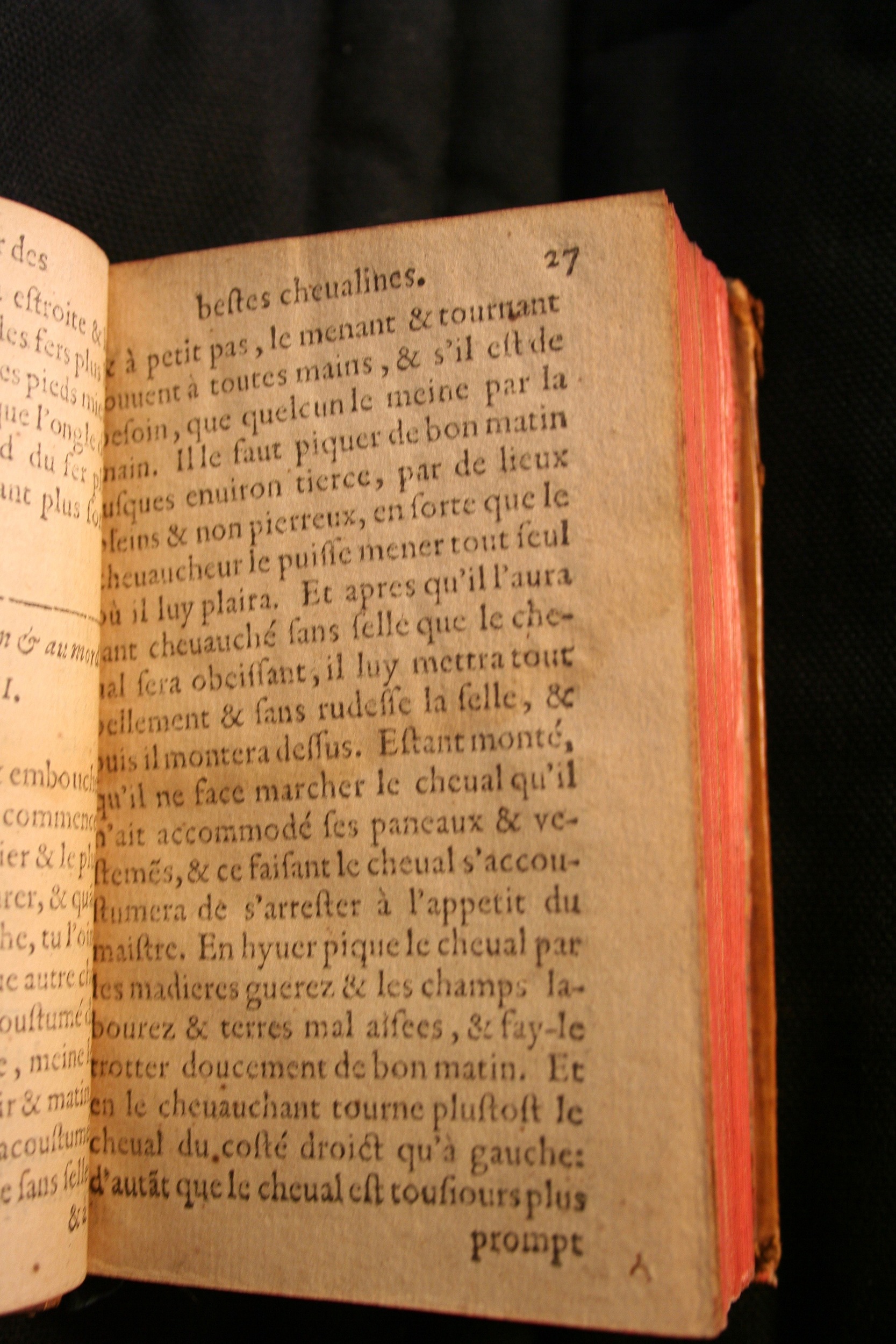 1591 - Pierre Chastaing et Benoît Rigaud - Trésor des bêtes chevalines - BM Bordeaux