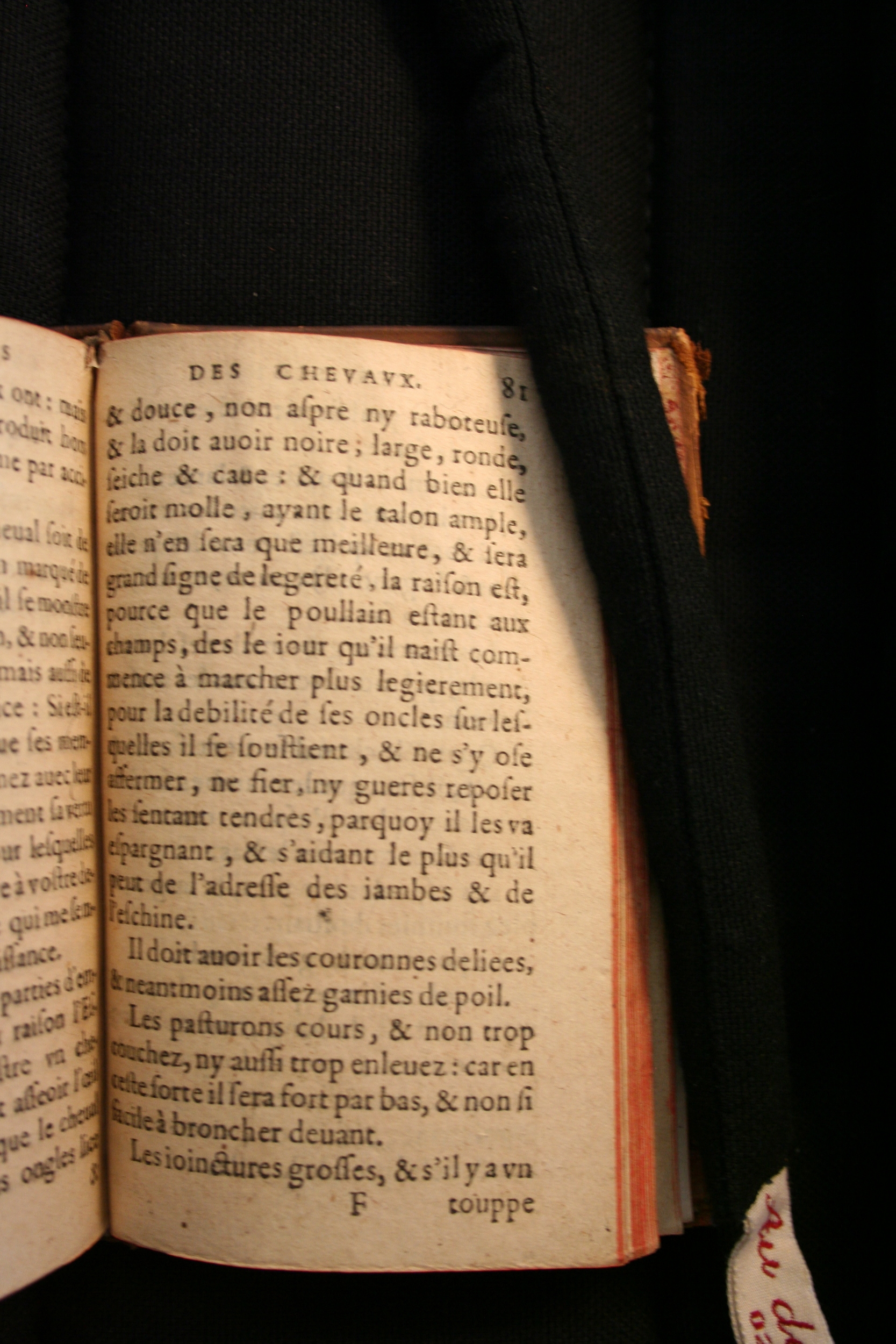 1591 - Pierre Chastaing et Benoît Rigaud - Trésor des bêtes chevalines - BM Bordeaux