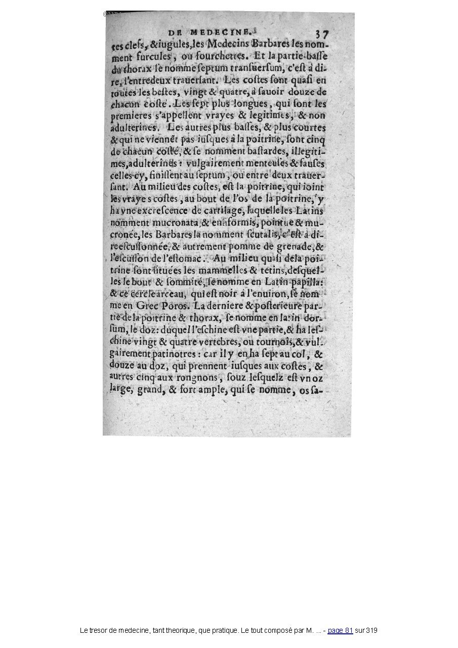 1560 - Pierre et Jan Moine - Trésor de médecine - Université Paris Cité