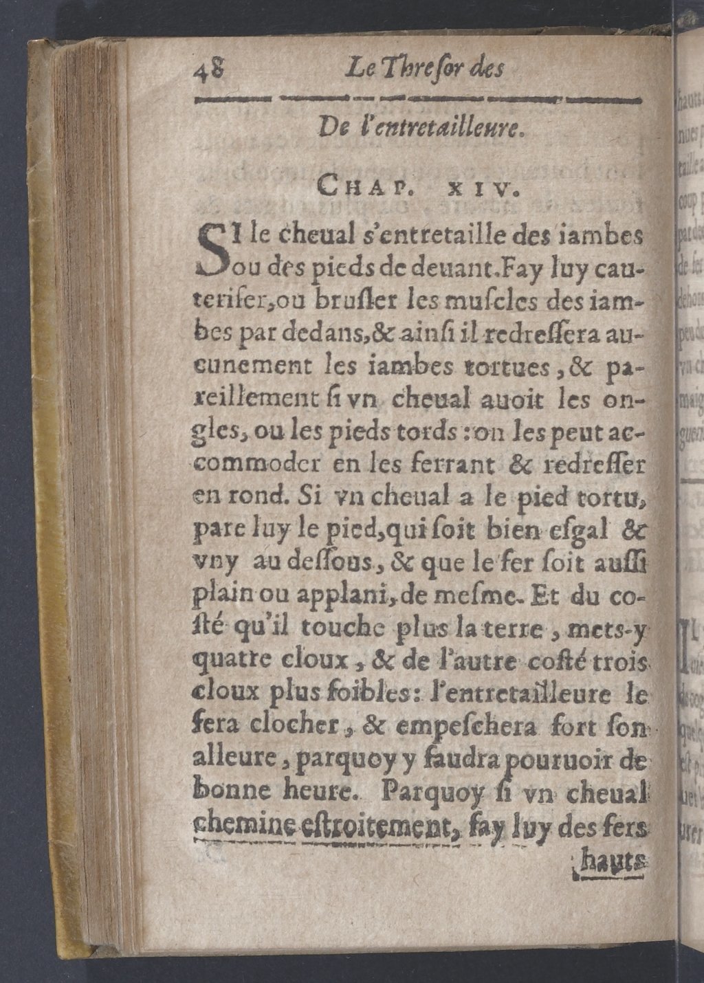 1619 - Pierre Rigaud - Trésor des bêtes chevalines - BnF