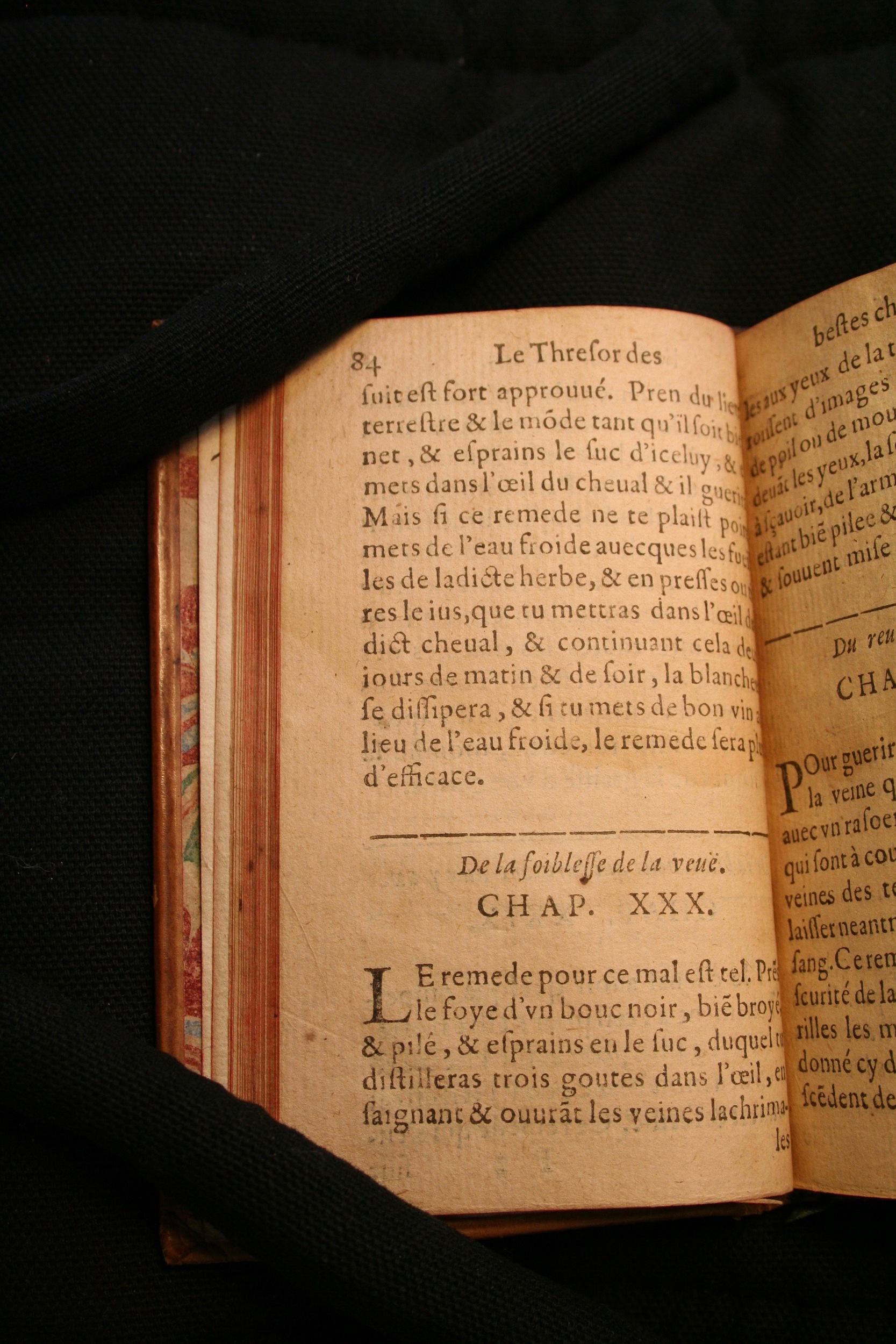 1591 - Pierre Chastaing et Benoît Rigaud - Trésor des bêtes chevalines - BM Bordeaux