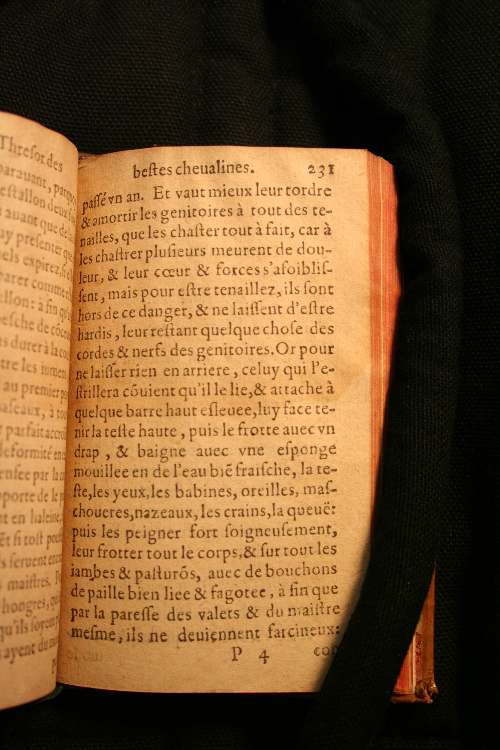 1591 - Pierre Chastaing et Benoît Rigaud - Trésor des bêtes chevalines - BM Bordeaux