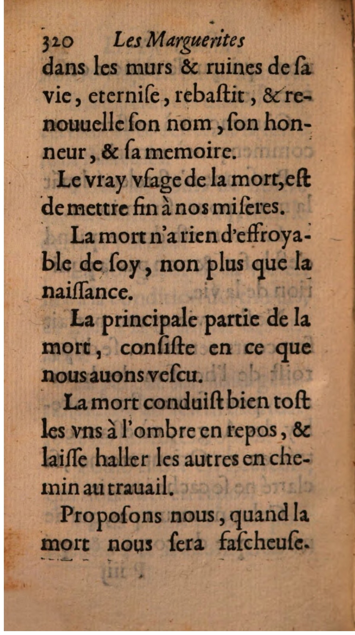 1608 Théodore Reinsart Les Marguerites françoises ou Thresor des Fleurs du bien-dire - BSB Munich-344.jpeg