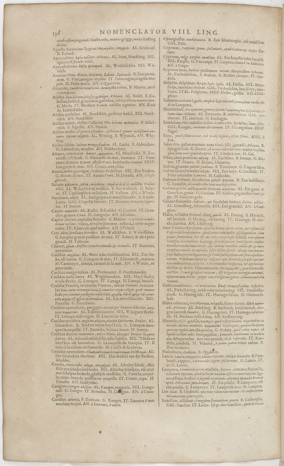 1606 - David Douceur - Trésor de la langue française - BnF