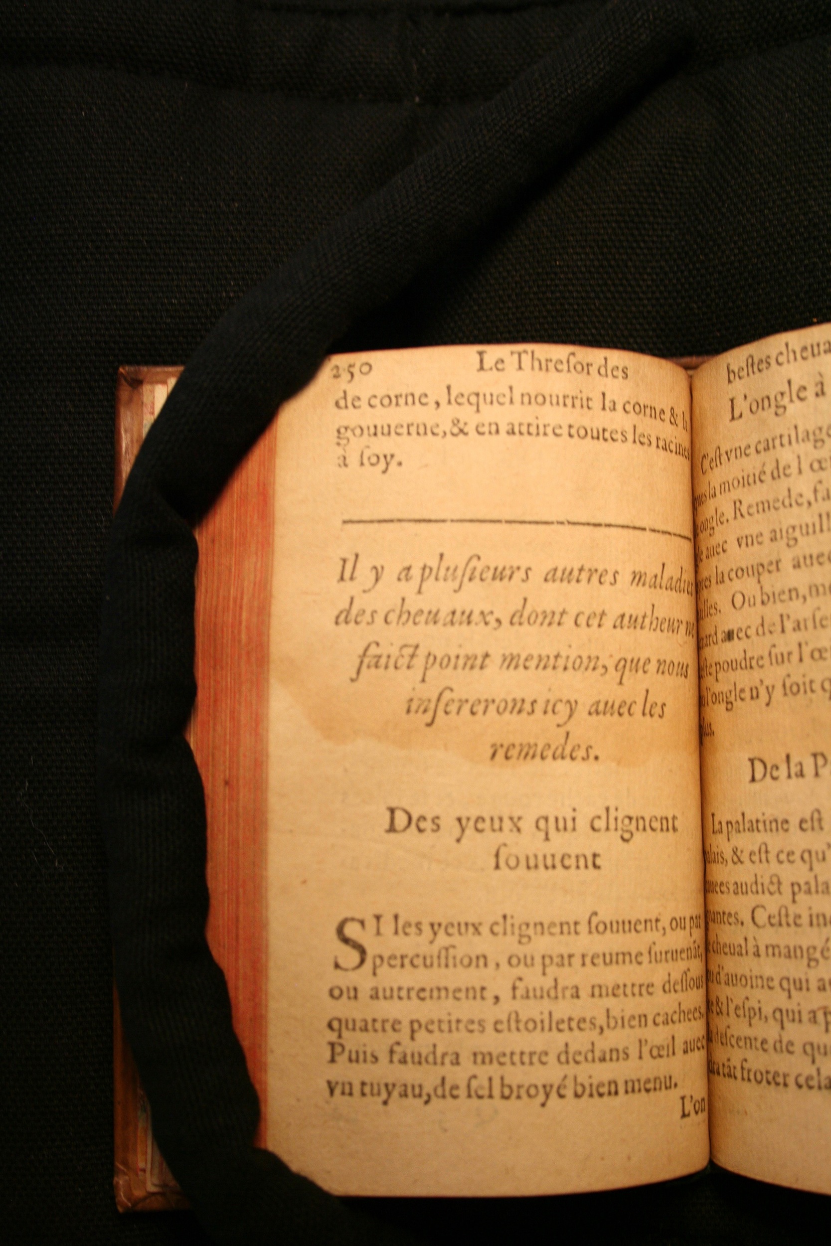 1591 - Pierre Chastaing et Benoît Rigaud - Trésor des bêtes chevalines - BM Bordeaux