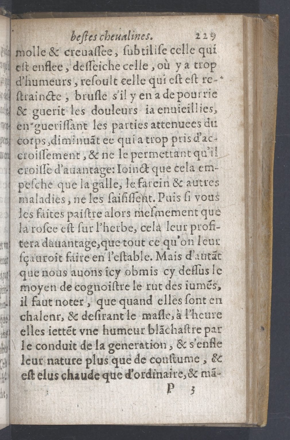 1619 - Pierre Rigaud - Trésor des bêtes chevalines - BnF