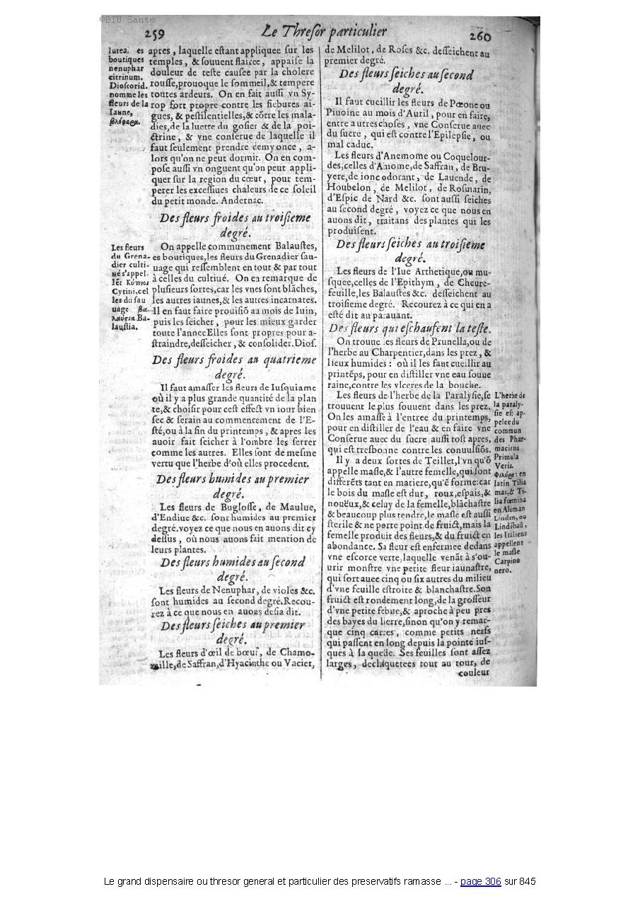 1609 - Étienne Gamonet - Grand dispensaire ou Trésor général et particulier des préservatifs - BIU Santé 1609 - Étienne Gamonet - Grand dispensaire ou Trésor général et particulier des préservatifs - BIU Santé