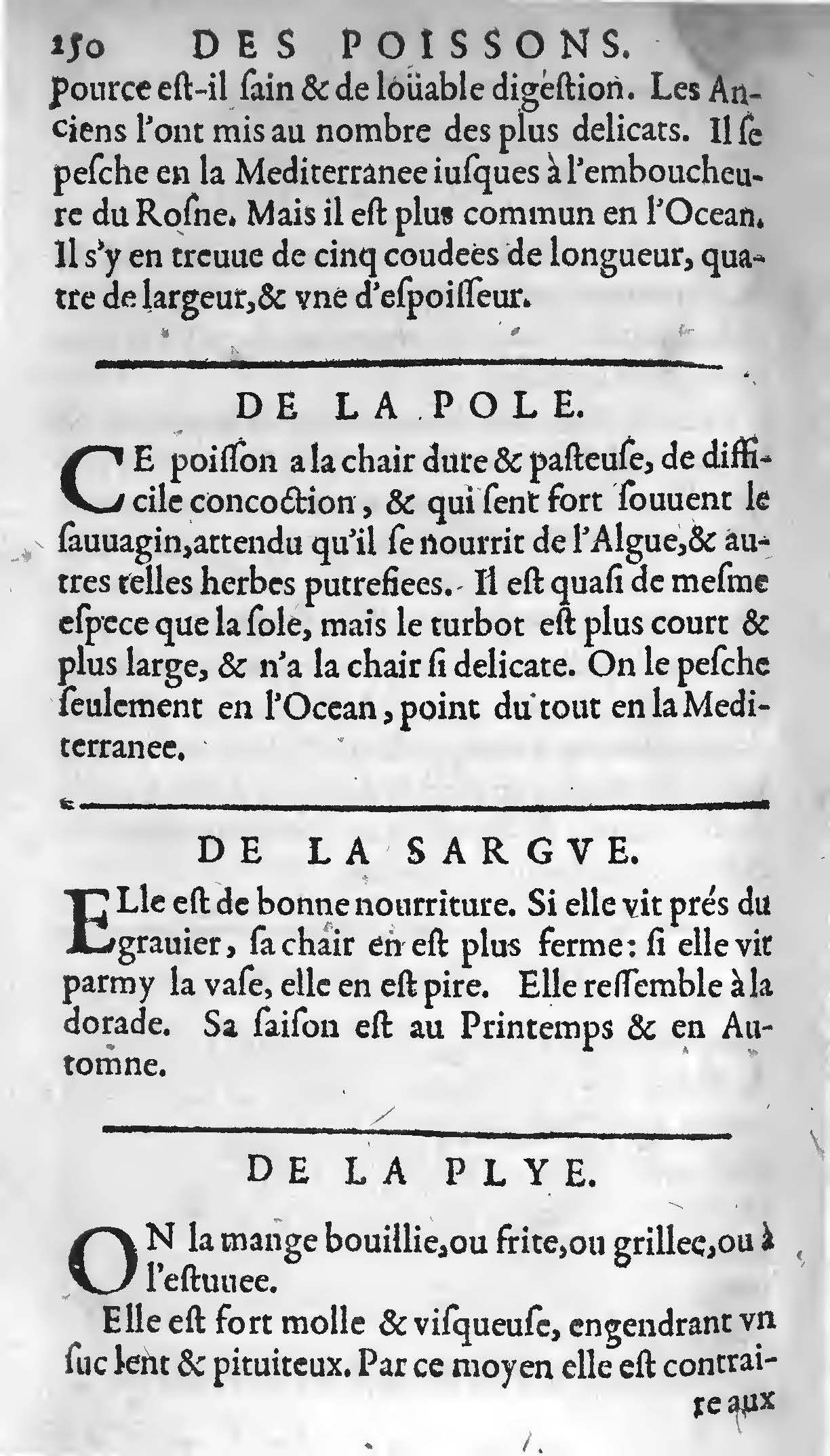 1607 - Étienne Servain et Jean Antoine Huguetan - Trésor de santé ou ménage de la vie humaine - BIU Santé
