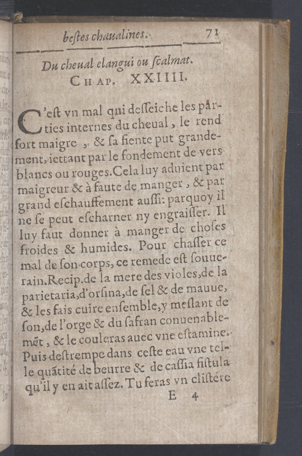 1619 - Pierre Rigaud - Trésor des bêtes chevalines - BnF 1619 - Pierre Rigaud - Trésor des bêtes chevalines - BnF