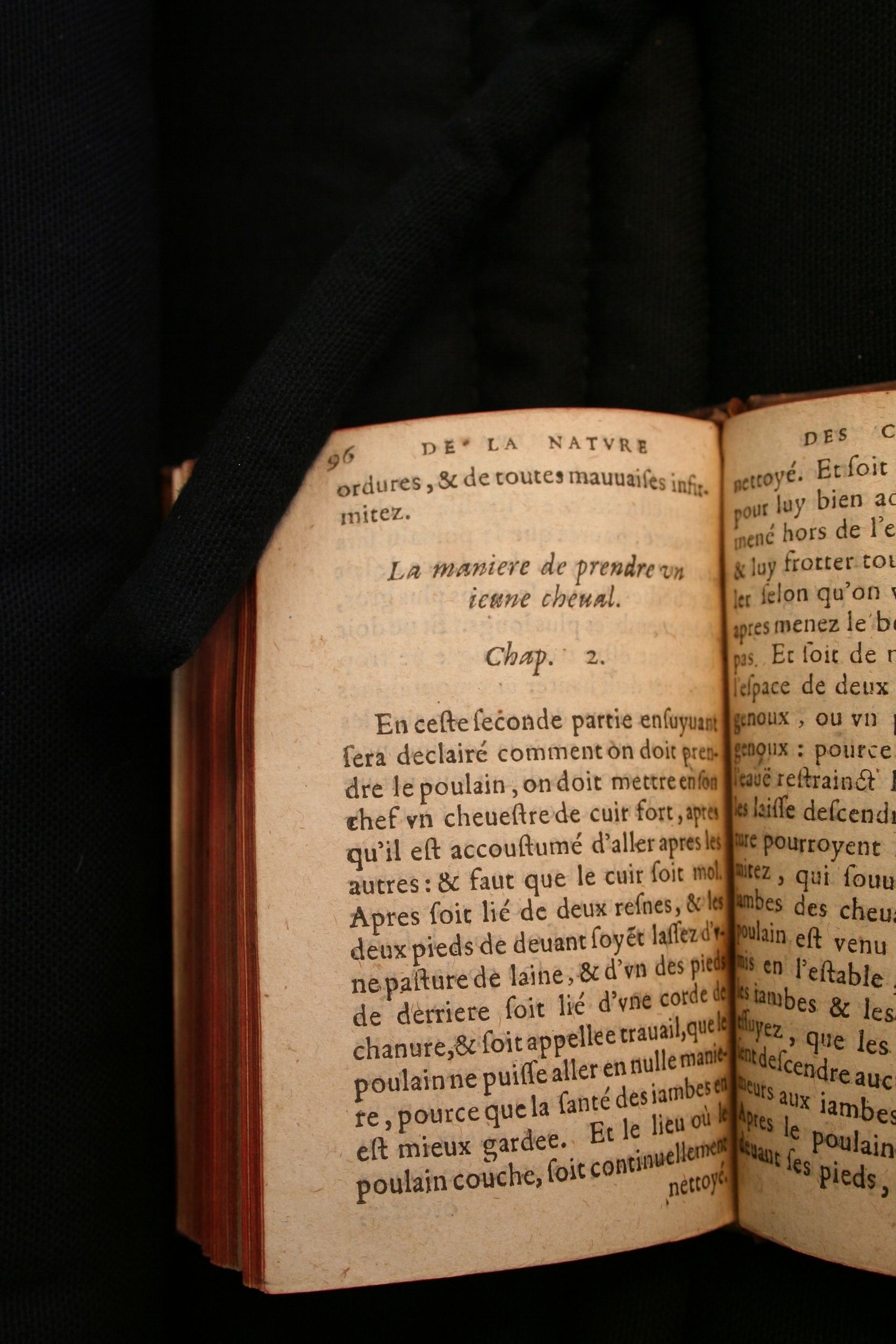 1591 - Pierre Chastaing et Benoît Rigaud - Trésor des bêtes chevalines - BM Bordeaux