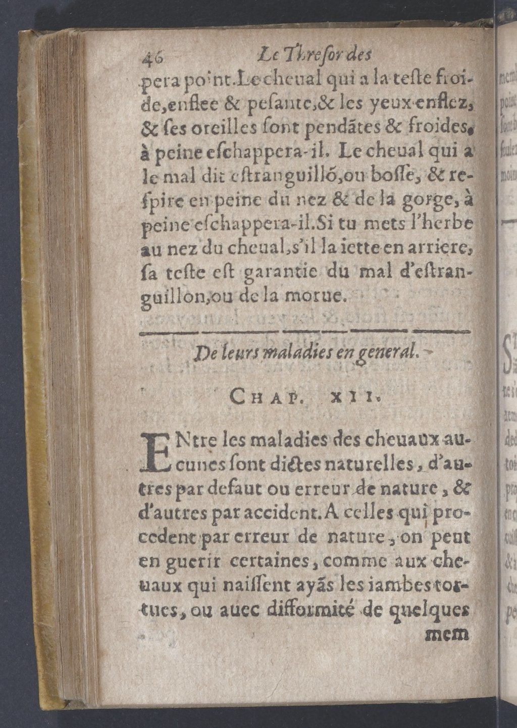 1619 - Pierre Rigaud - Trésor des bêtes chevalines - BnF