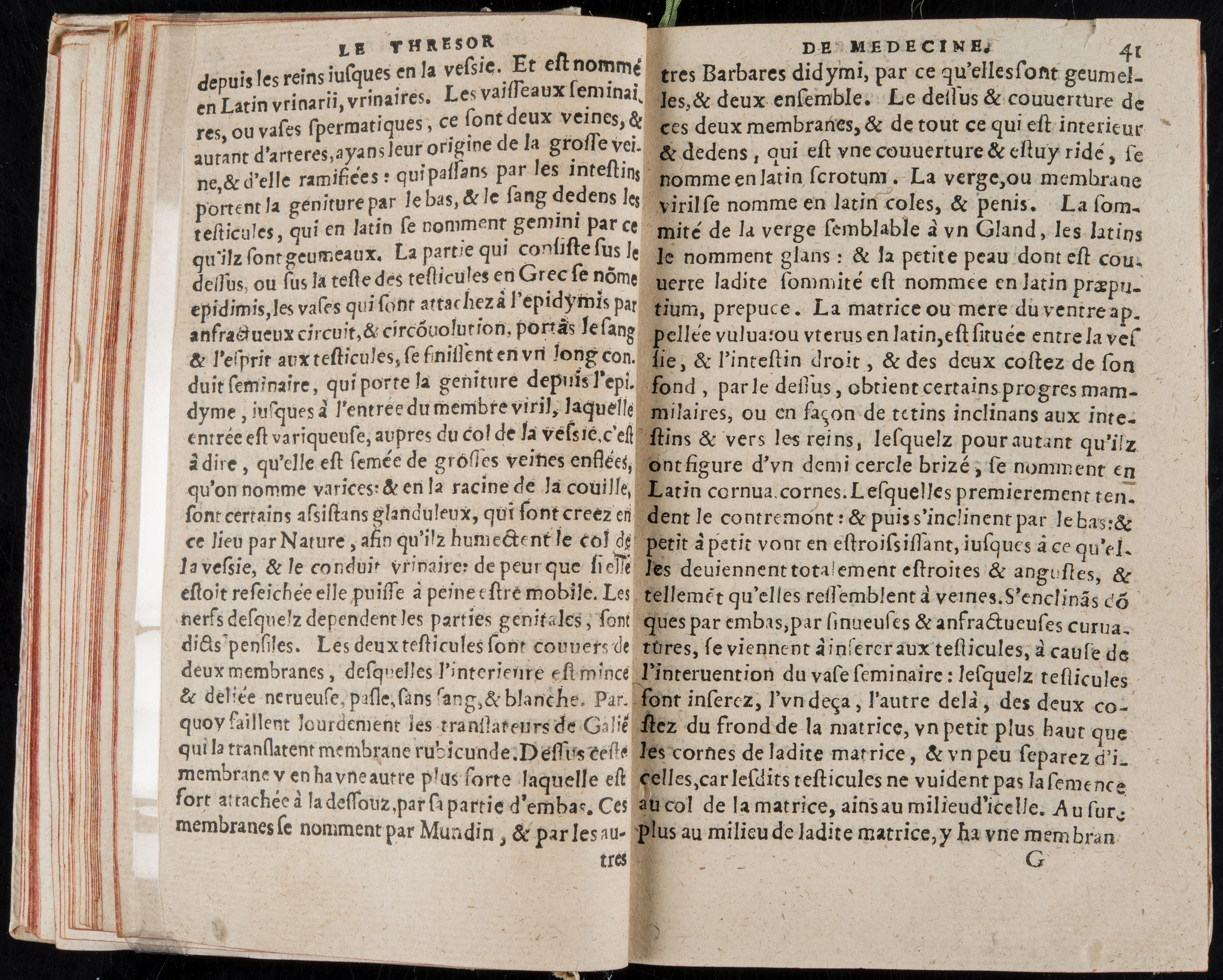1560 - Nicolas Pelletier - Trésor de médecine - BM Poitiers