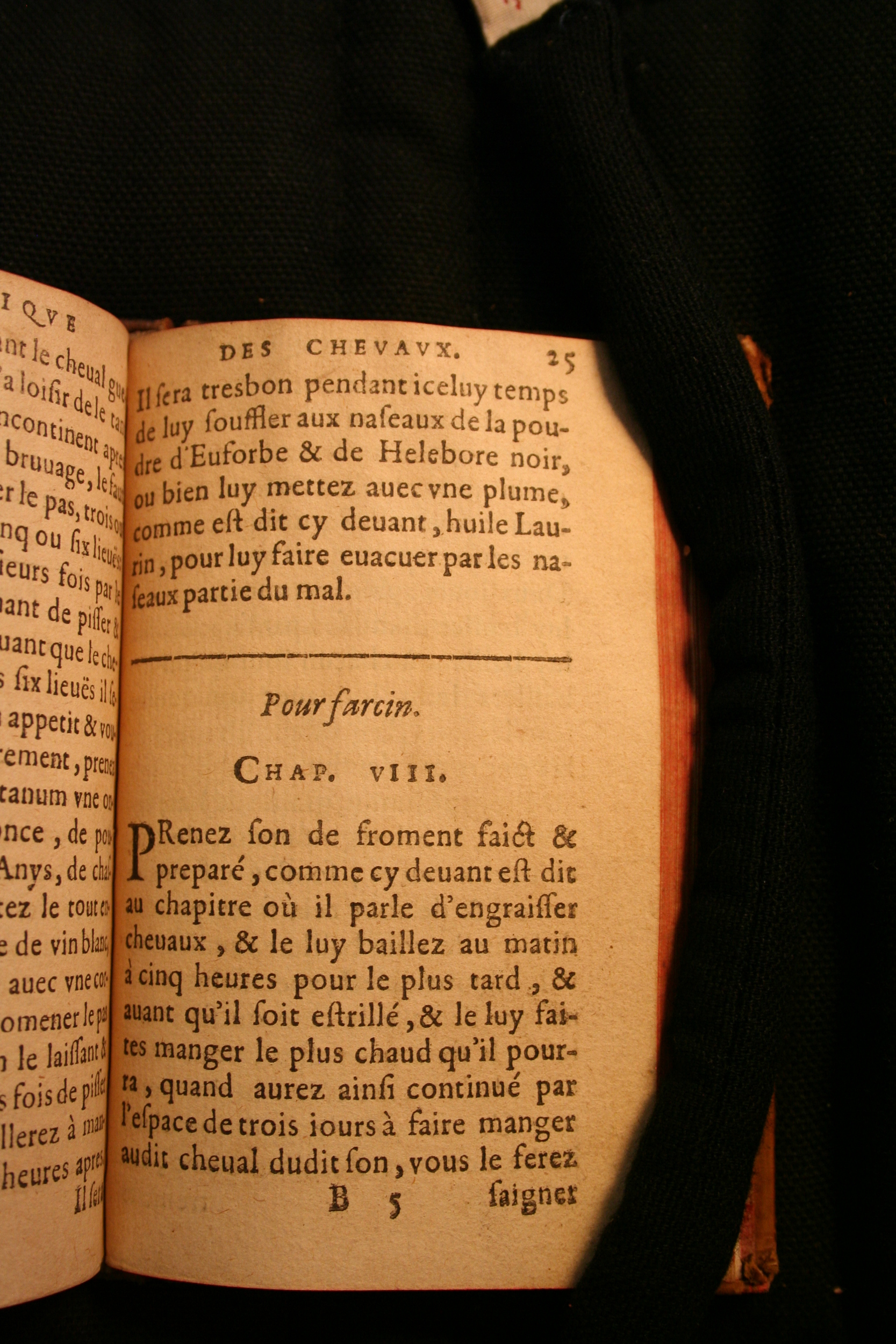1591 - Pierre Chastaing et Benoît Rigaud - Trésor des bêtes chevalines - BM Bordeaux