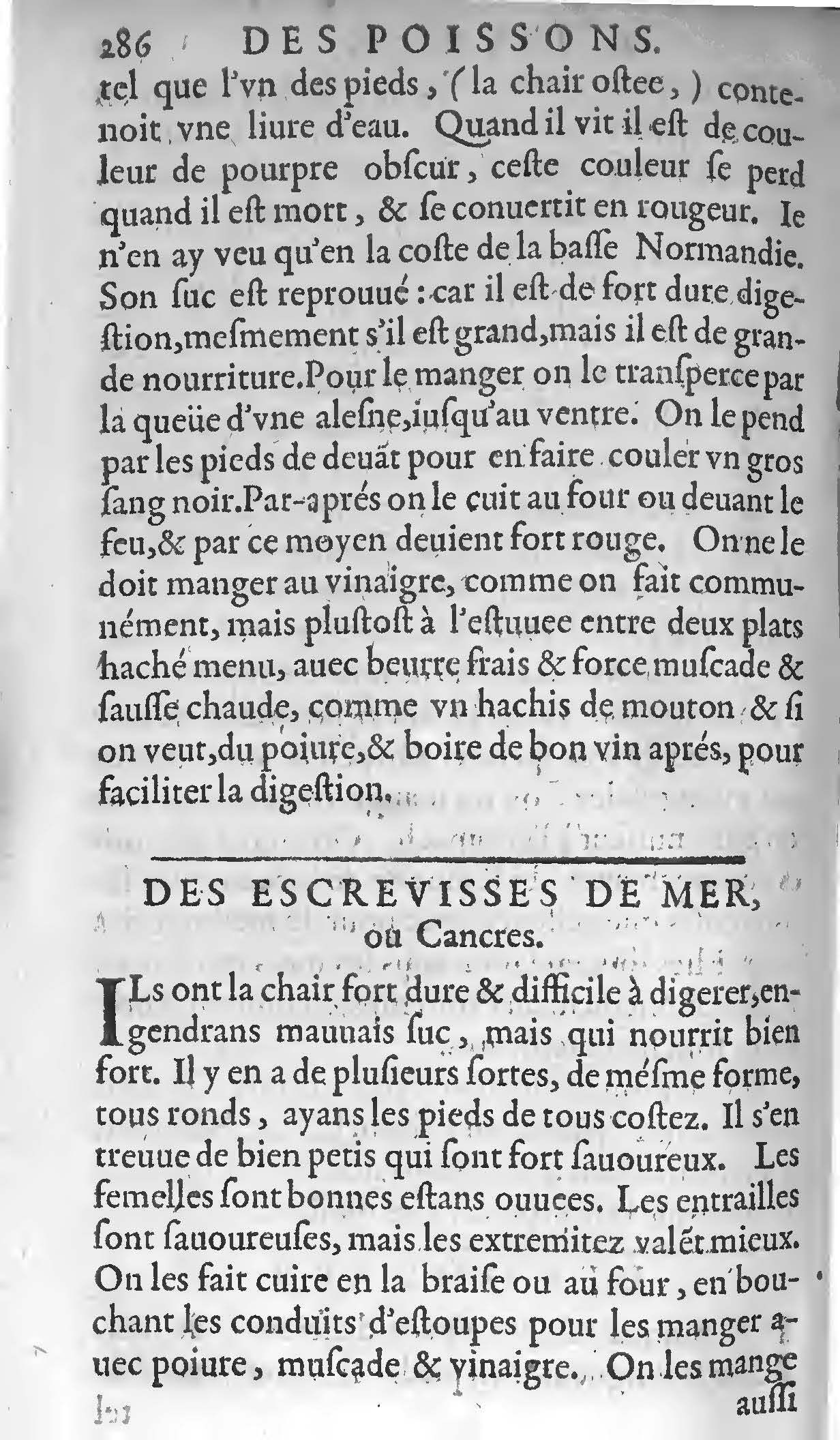 1607 - Étienne Servain et Jean Antoine Huguetan - Trésor de santé ou ménage de la vie humaine - BIU Santé 1607 - Étienne Servain et Jean Antoine Huguetan - Trésor de santé ou ménage de la vie humaine - BIU Santé