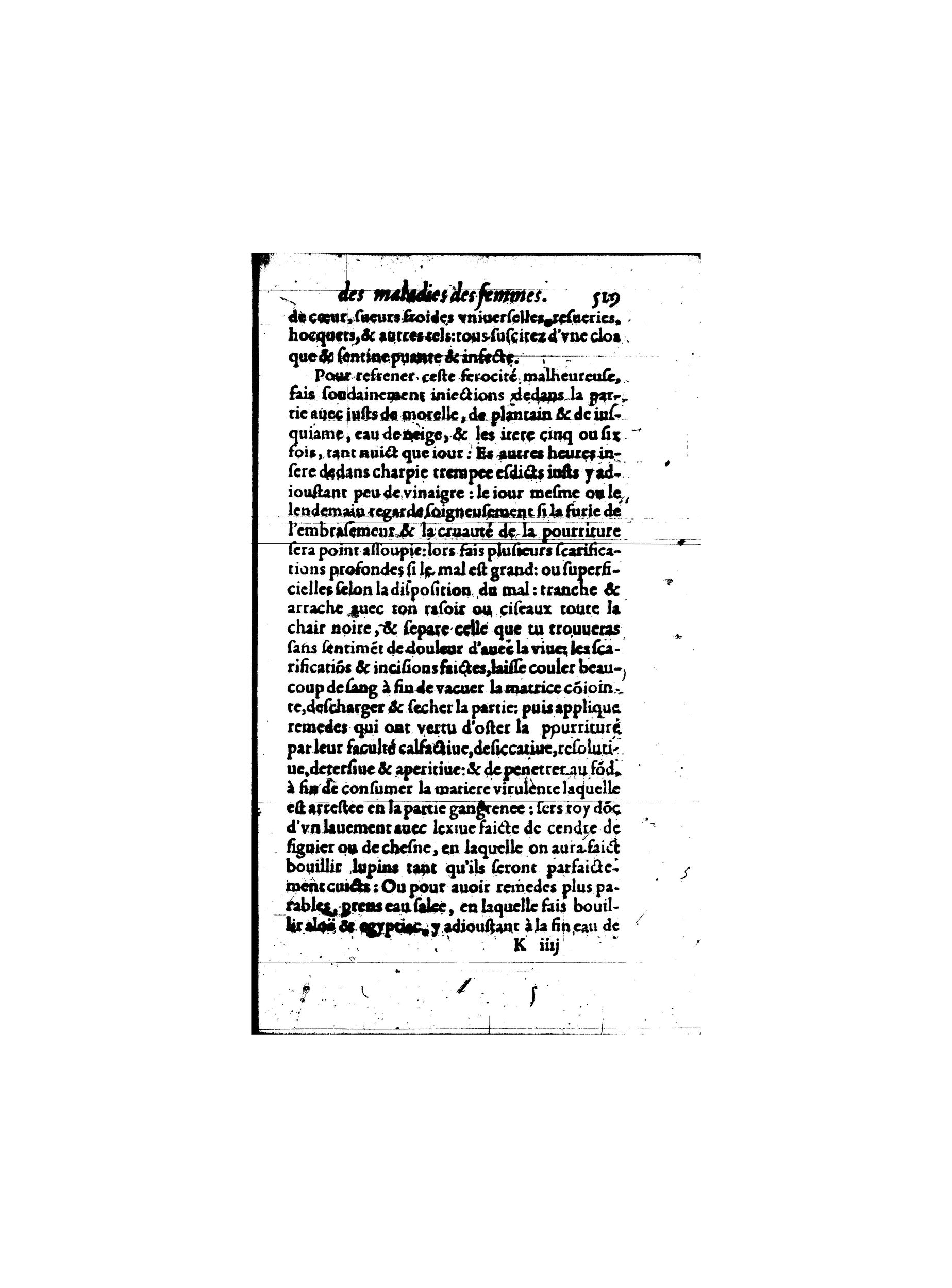 1587 - Jacques du Puis - Trésor des remèdes secrets pour les maladies des femmes - BnF 1587 - Jacques du Puis - Trésor des remèdes secrets pour les maladies des femmes - BnF