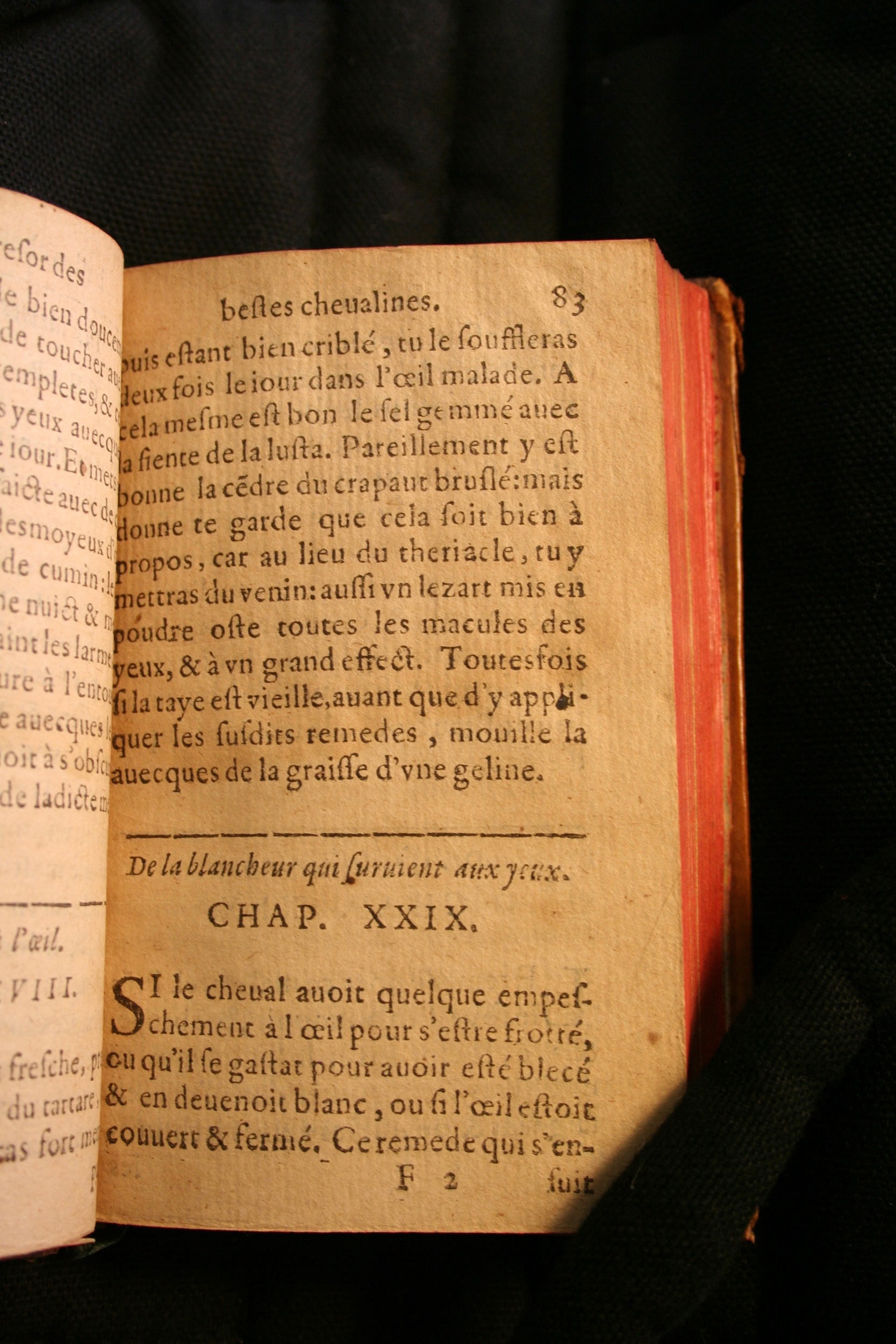 1591 - Pierre Chastaing et Benoît Rigaud - Trésor des bêtes chevalines - BM Bordeaux