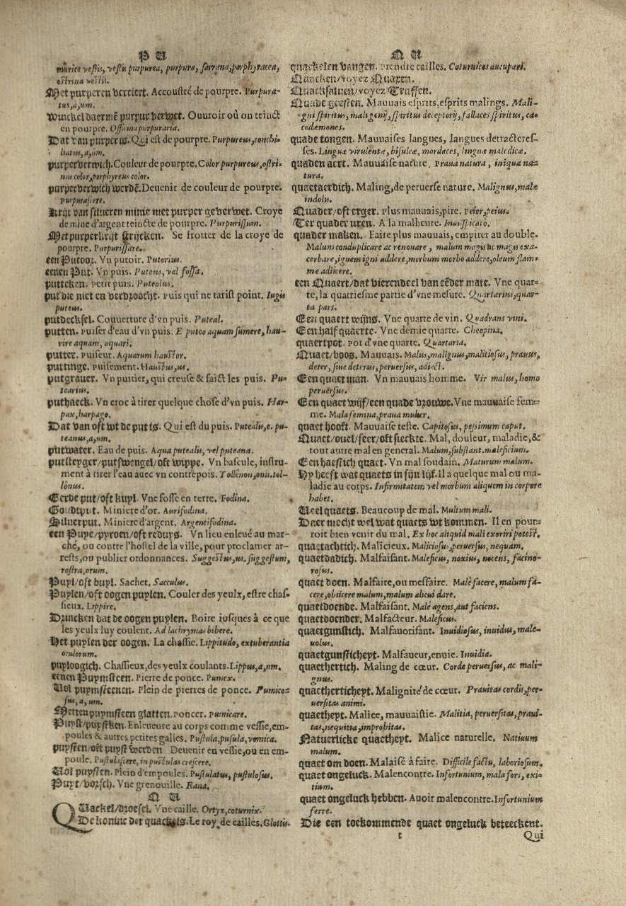 1573 - Christophe Plantin - Trésor du langage bas-allemand - Greifswald