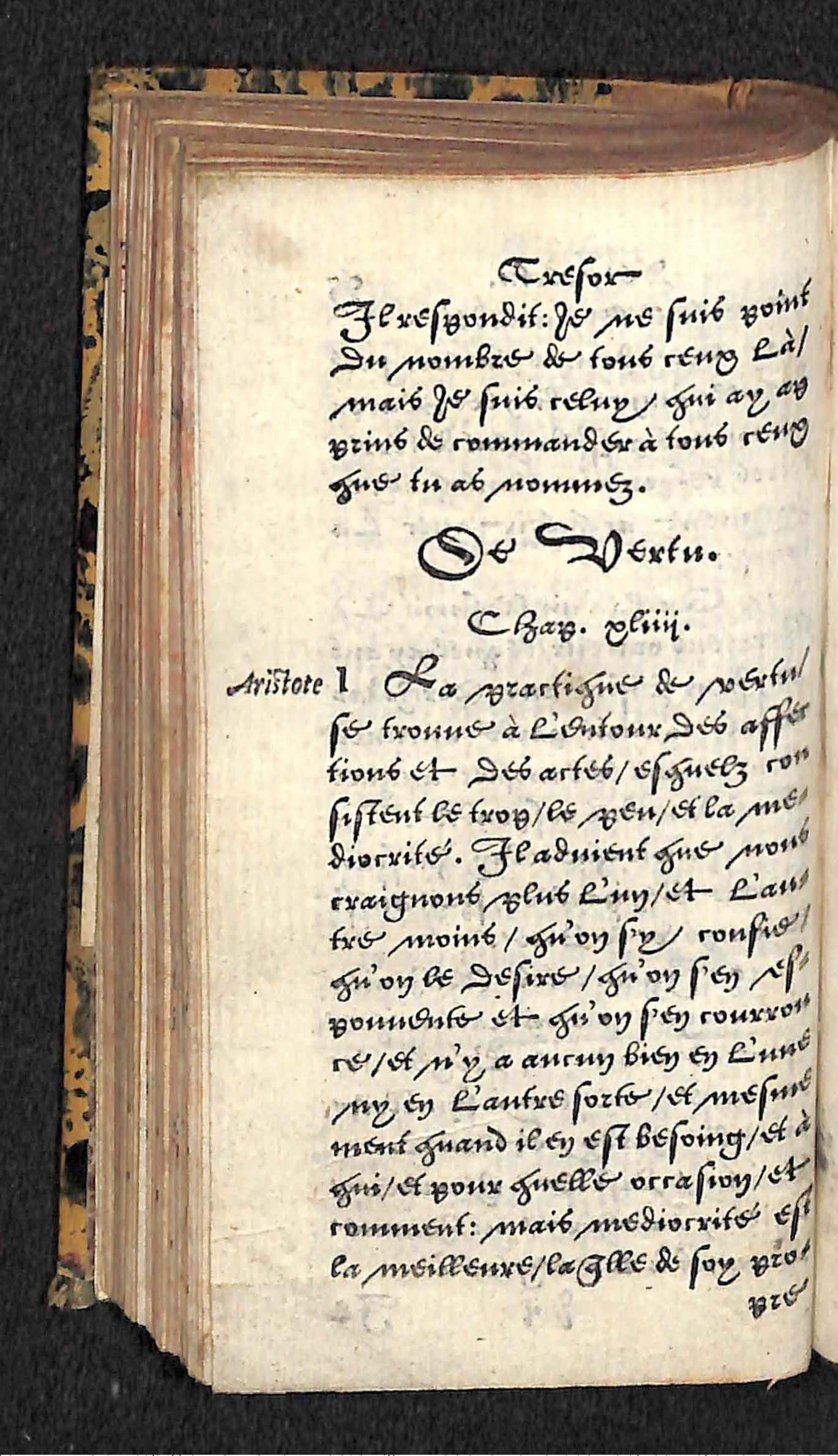 1560 - Hans de Laet - Trésor de vertu - Angers-archives