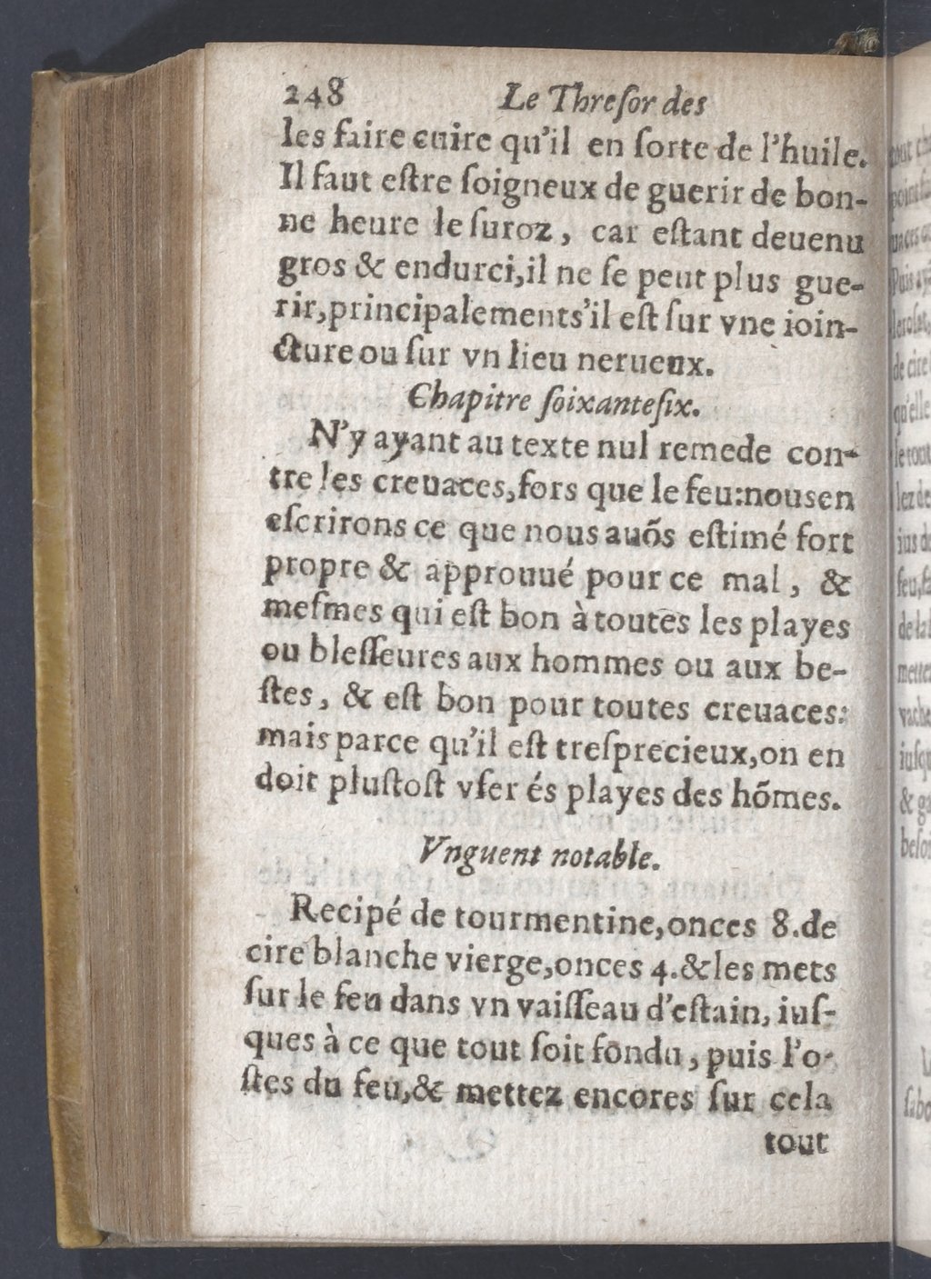 1619 - Pierre Rigaud - Trésor des bêtes chevalines - BnF