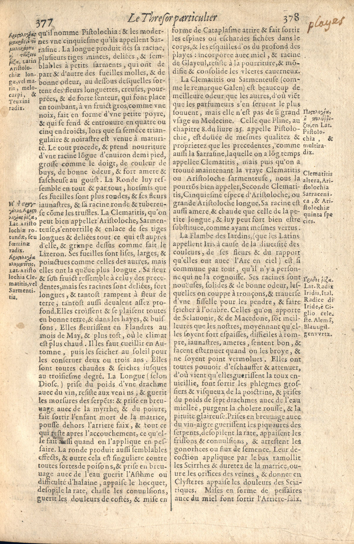 1610 - Étienne Gamonet - Grand Trésor ou dispensaire - CESR Tours