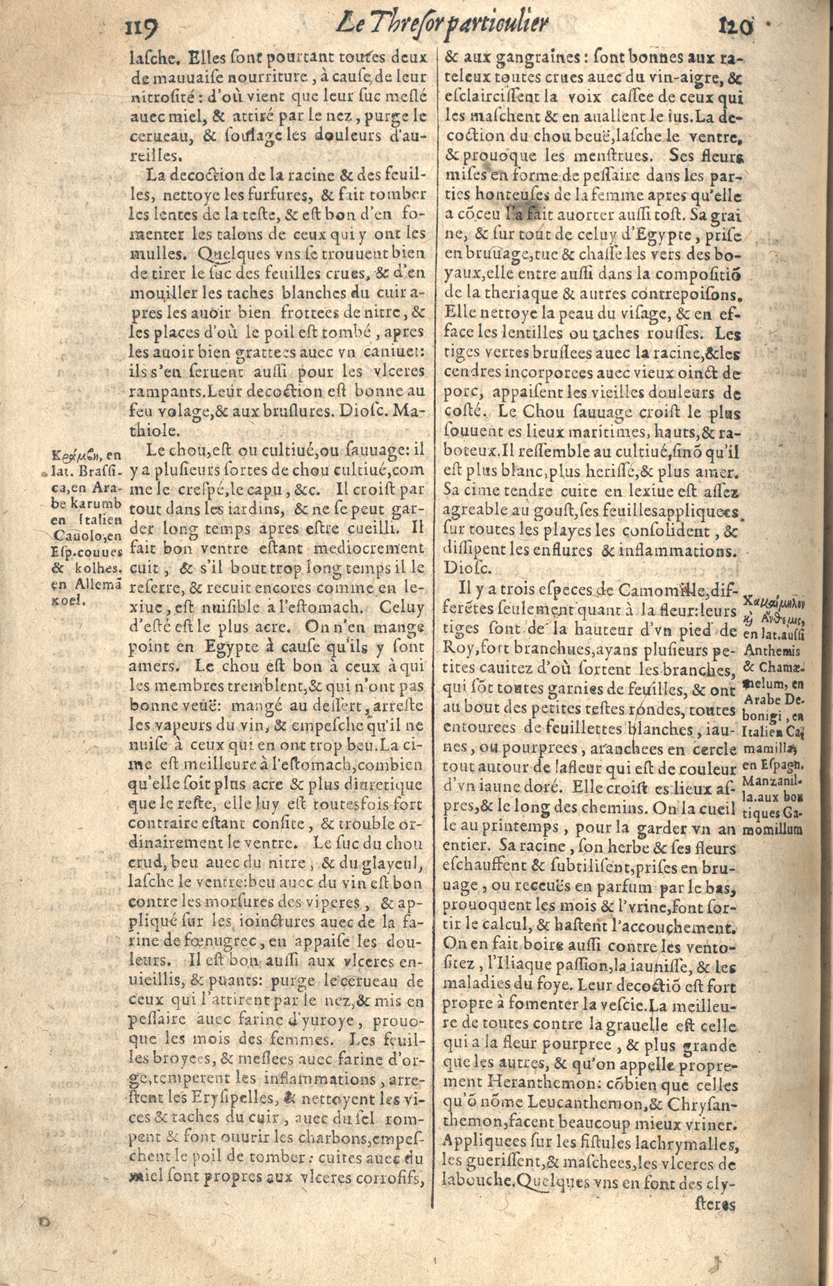 1610 - Étienne Gamonet - Grand Trésor ou dispensaire - CESR Tours