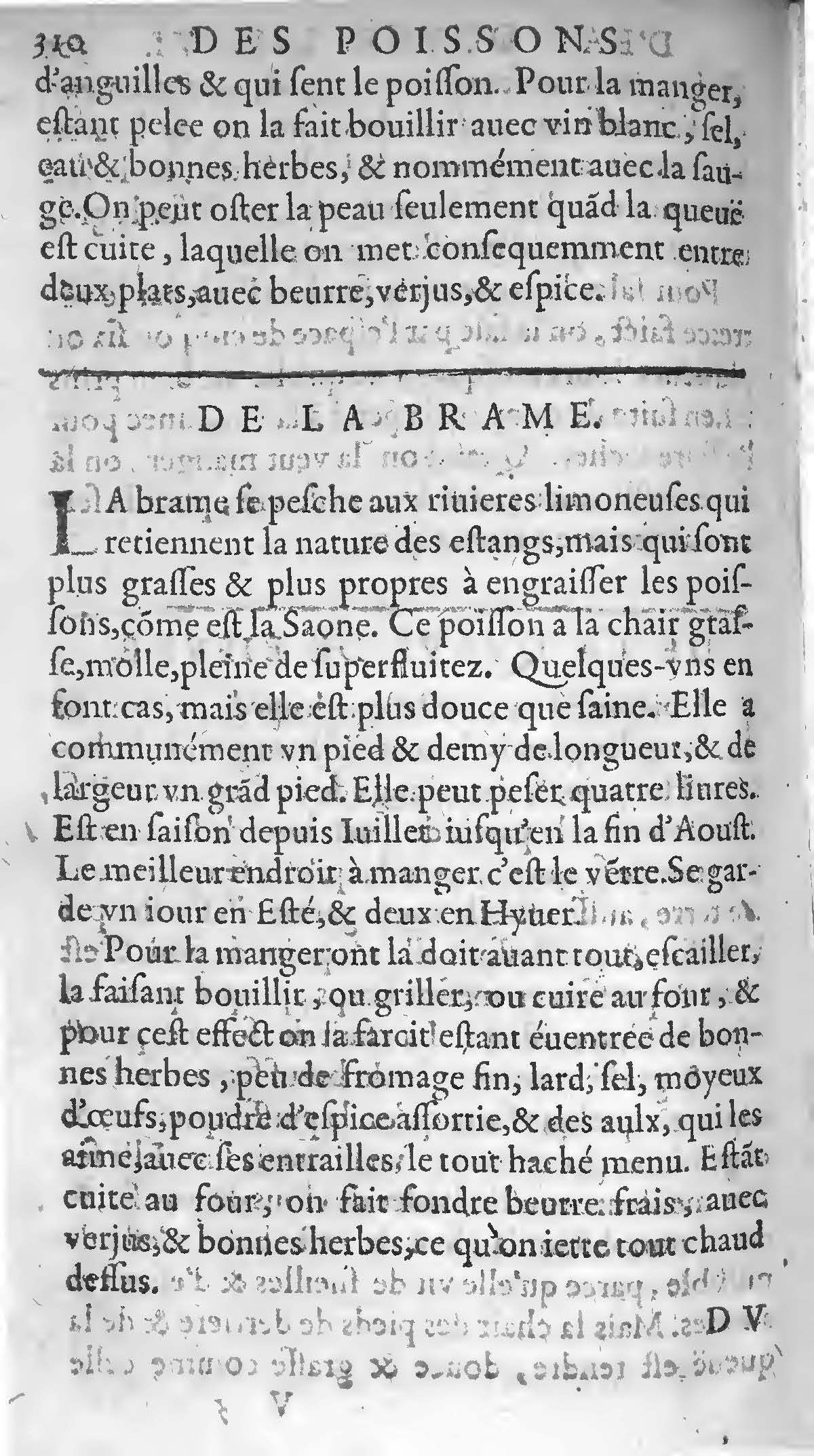 1607 Étienne Servain et Jean Antoine Huguetan - Trésor de santé ou ménage de la vie humaine - BIU Santé_Page_330.jpg