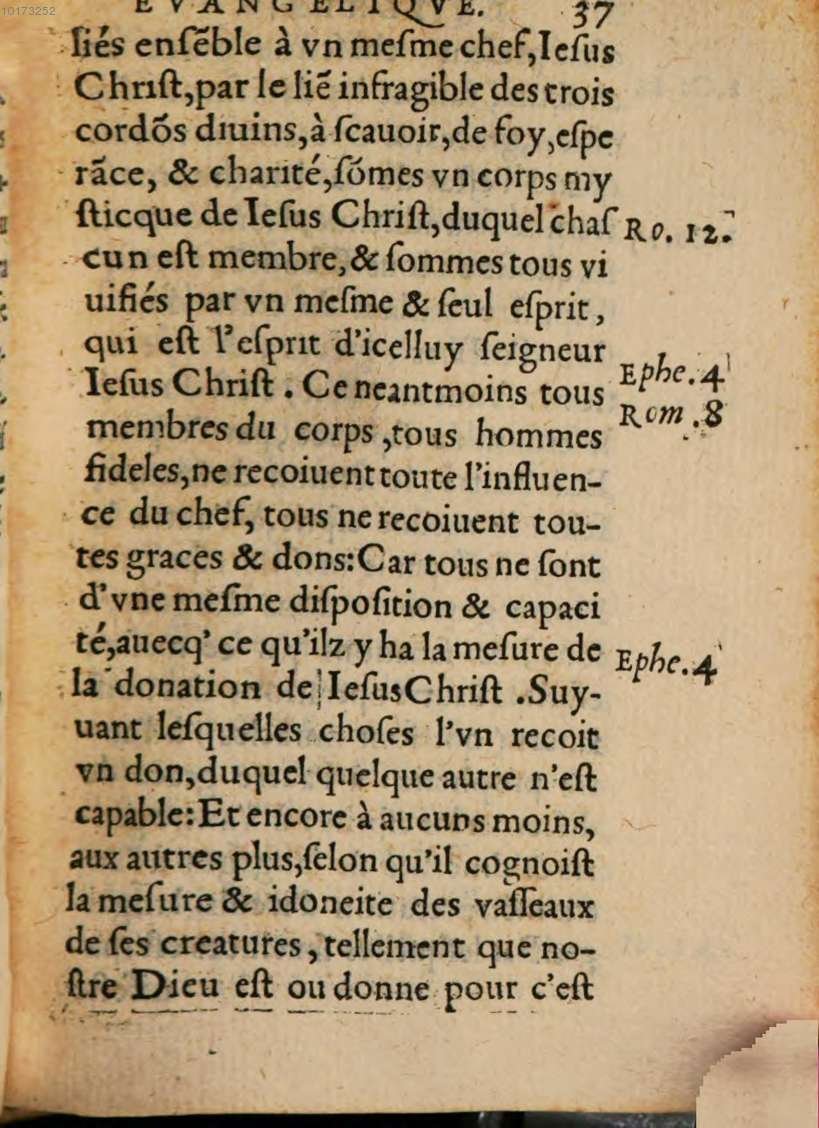 1548 - René Avril et Vivant Gaulterot - Perle précieuse évangélique et Trésor divin - BSB Munich