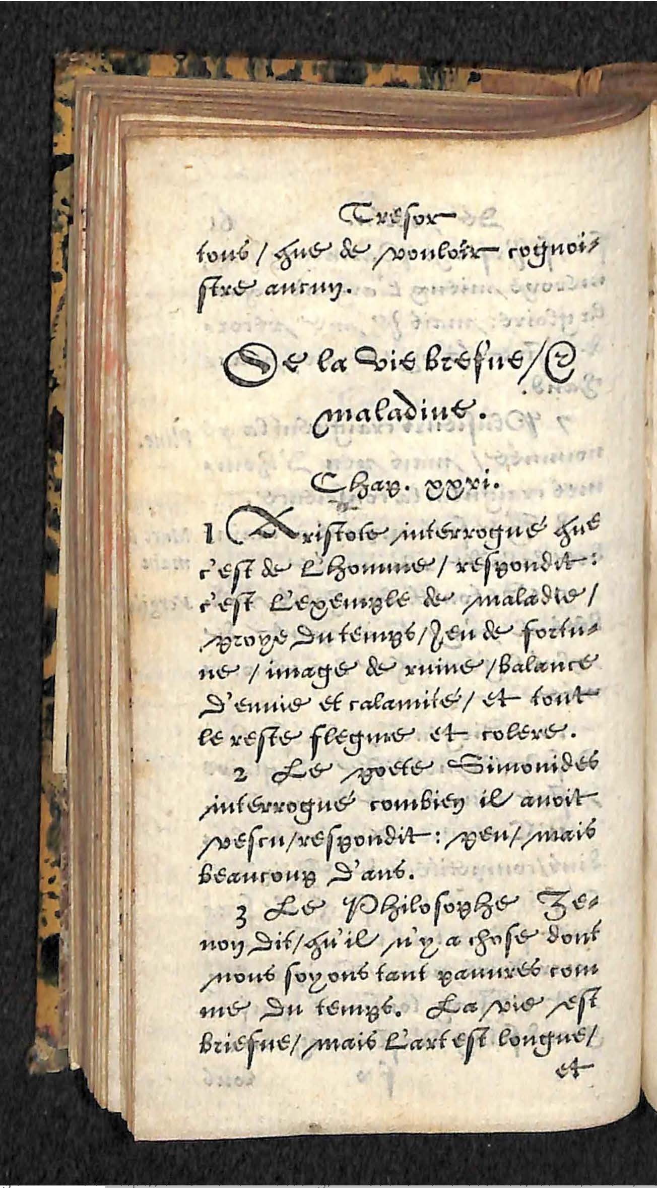 1560 - Hans de Laet - Trésor de vertu - Angers-archives