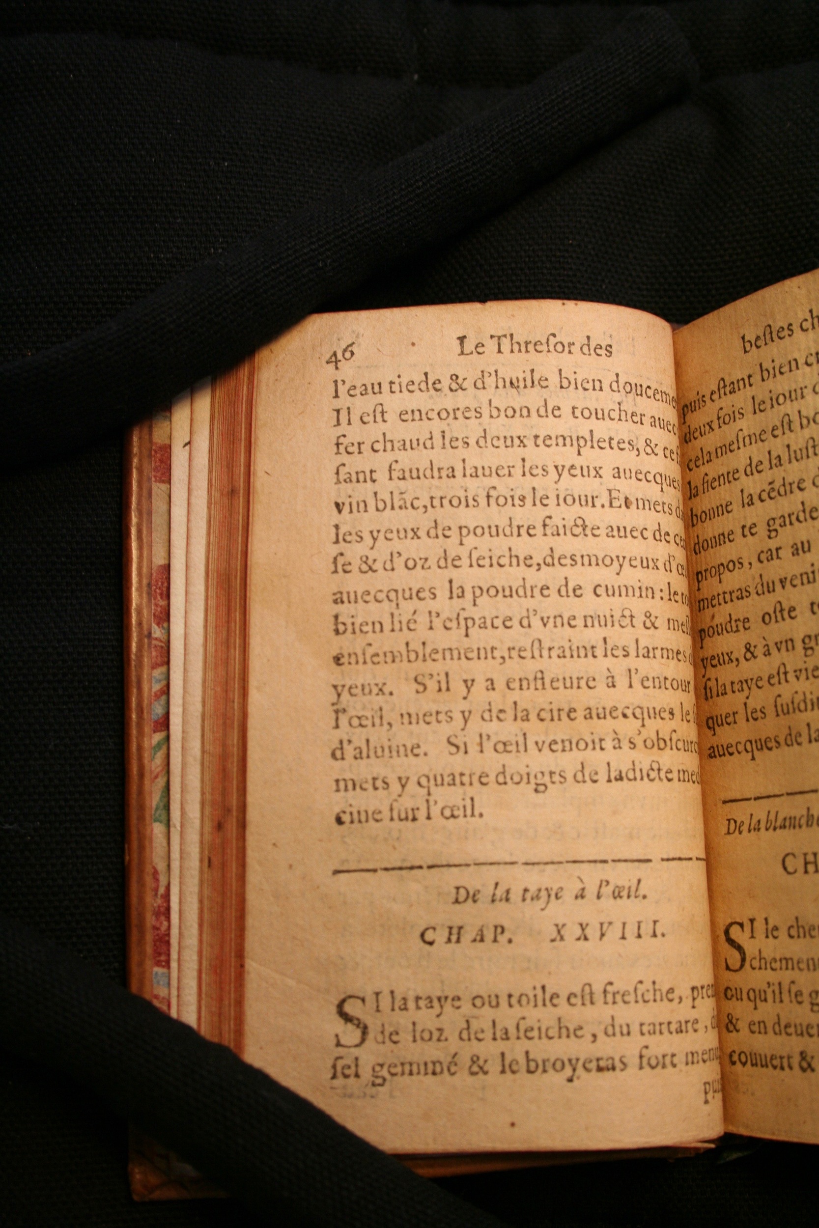 1591 - Pierre Chastaing et Benoît Rigaud - Trésor des bêtes chevalines - BM Bordeaux