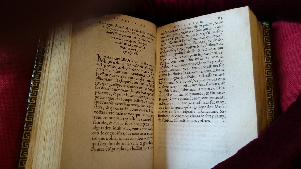1581 - Pierre Le Voirier et Gervais Mallot - Trésor des histoires tragiques - BnF Richelieu