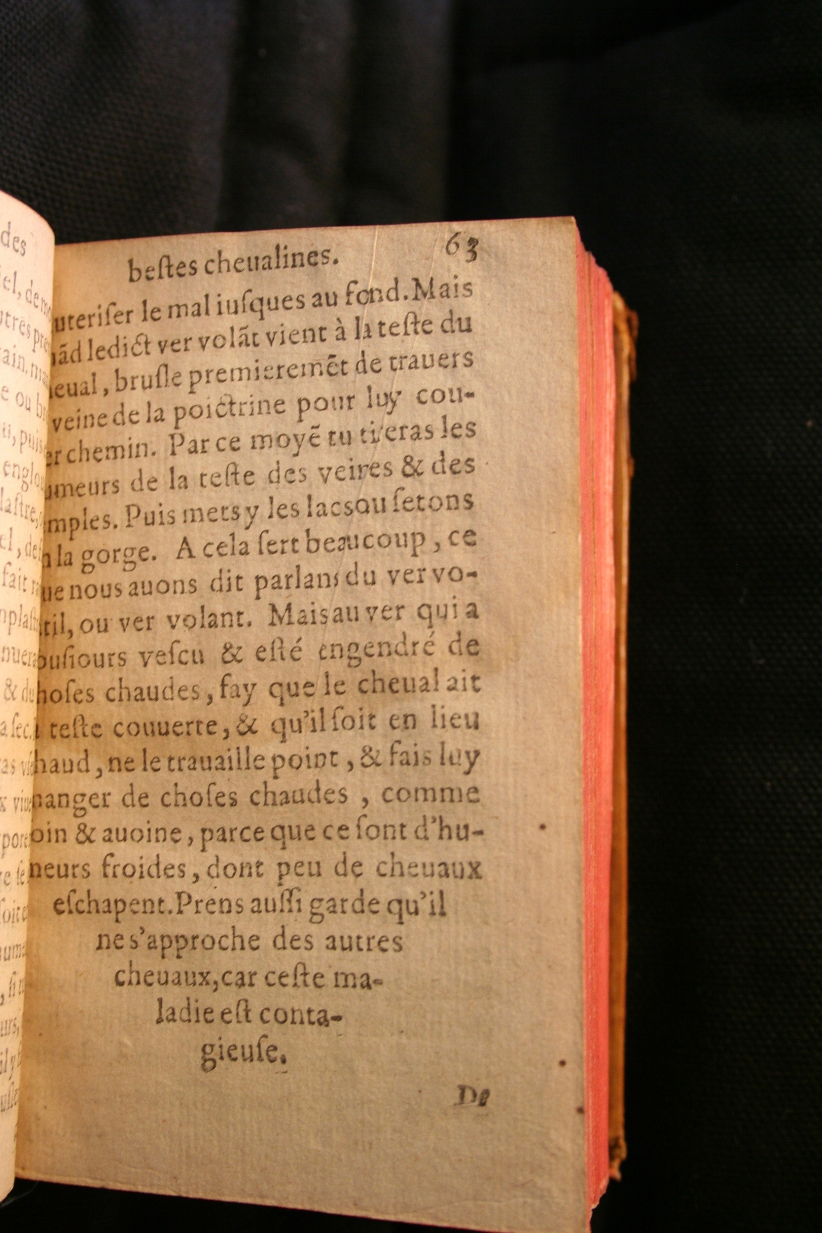 1591 - Pierre Chastaing et Benoît Rigaud - Trésor des bêtes chevalines - BM Bordeaux