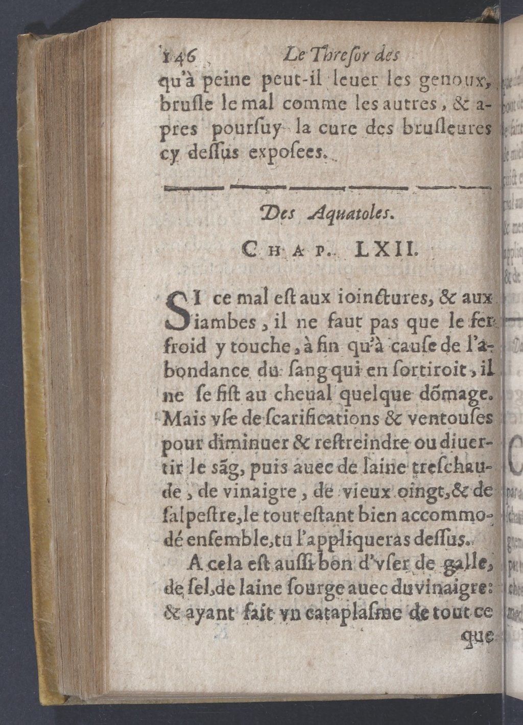 1619 - Pierre Rigaud - Trésor des bêtes chevalines - BnF