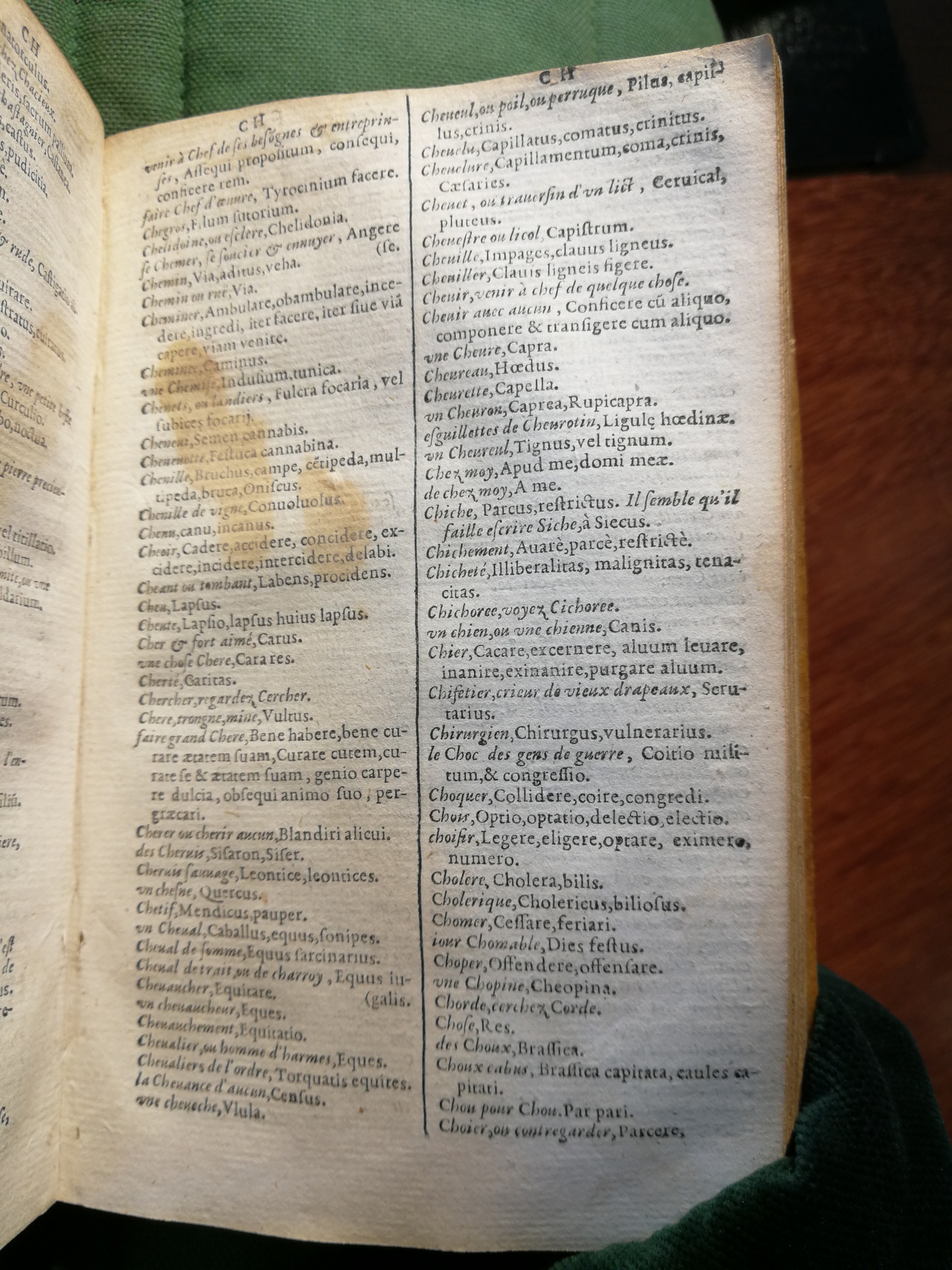 1597 - Martin le Mégissier - Trésor des mots et traits français - BnF