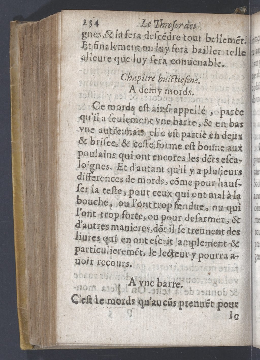 1619 - Pierre Rigaud - Trésor des bêtes chevalines - BnF 1619 - Pierre Rigaud - Trésor des bêtes chevalines - BnF