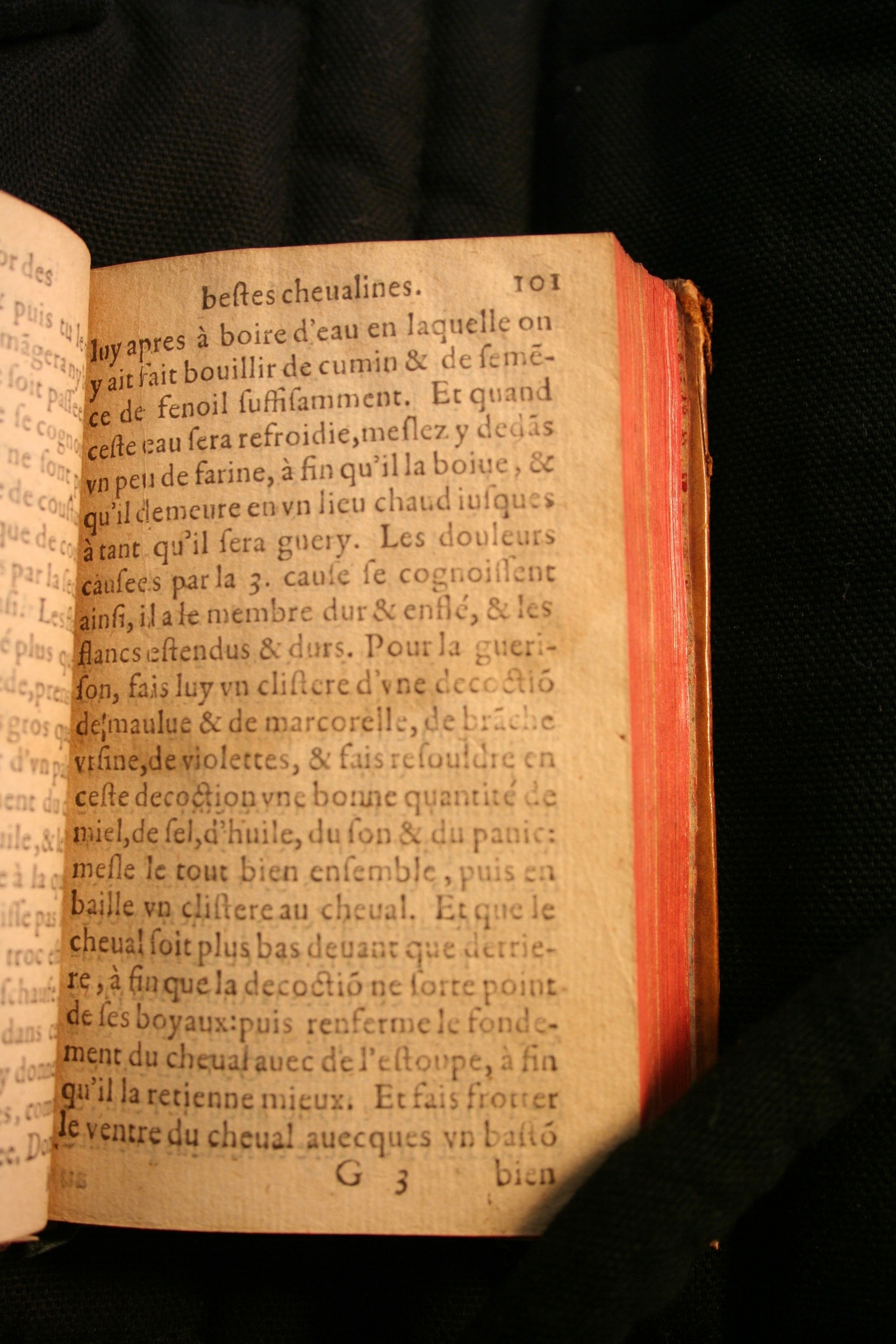 1591 - Pierre Chastaing et Benoît Rigaud - Trésor des bêtes chevalines - BM Bordeaux