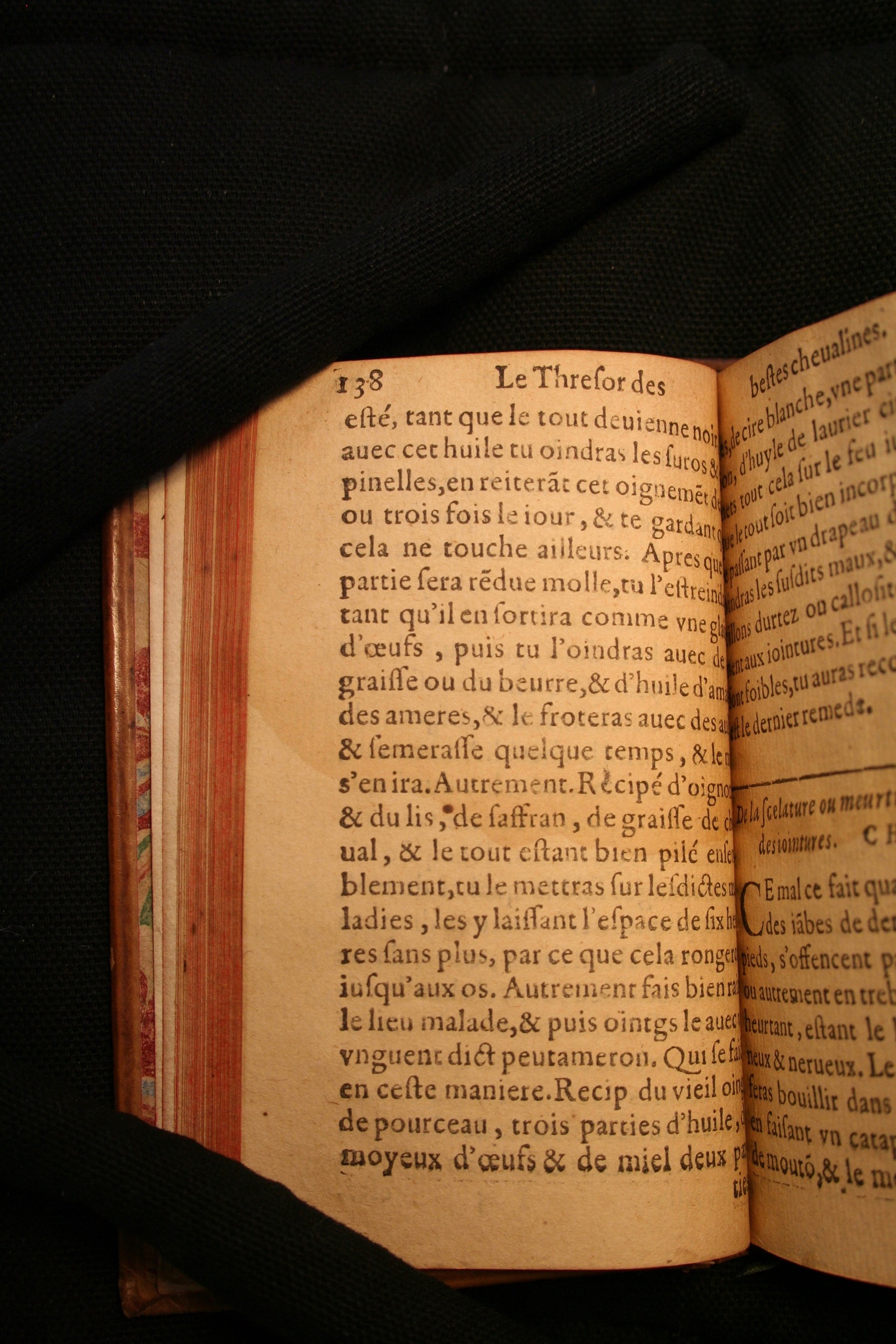 1591 - Pierre Chastaing et Benoît Rigaud - Trésor des bêtes chevalines - BM Bordeaux