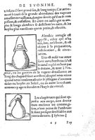 1557 Tresor de Evonime Philiatre Vincent_Page_120.jpg