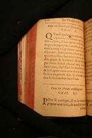 1591 - Pierre Chastaing et Benoît Rigaud - Trésor des bêtes chevalines - BM Bordeaux
